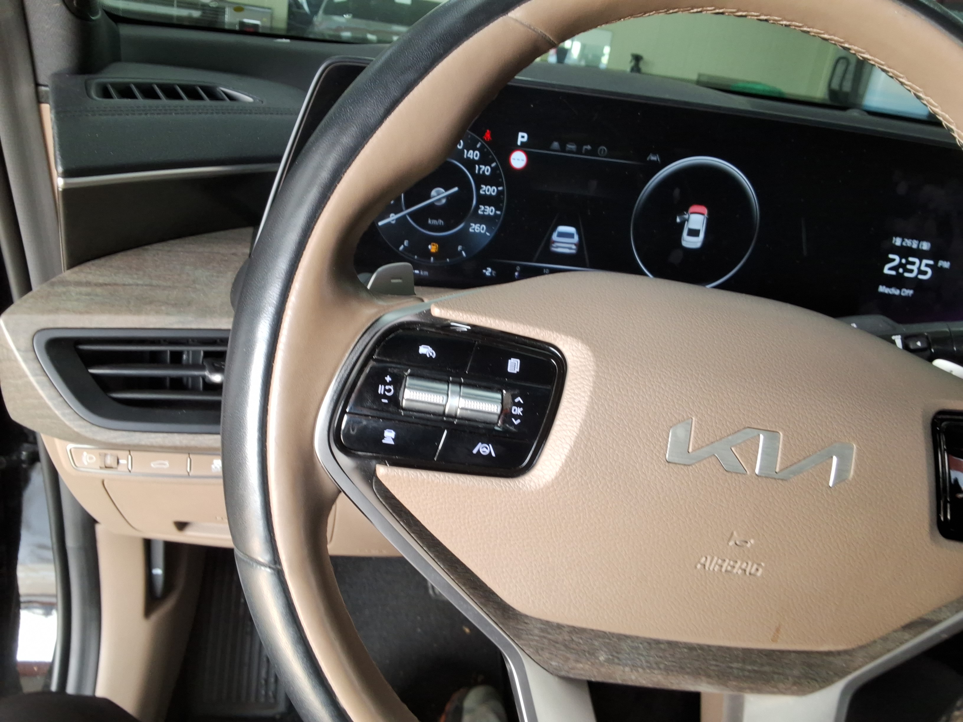 صورة إضافية