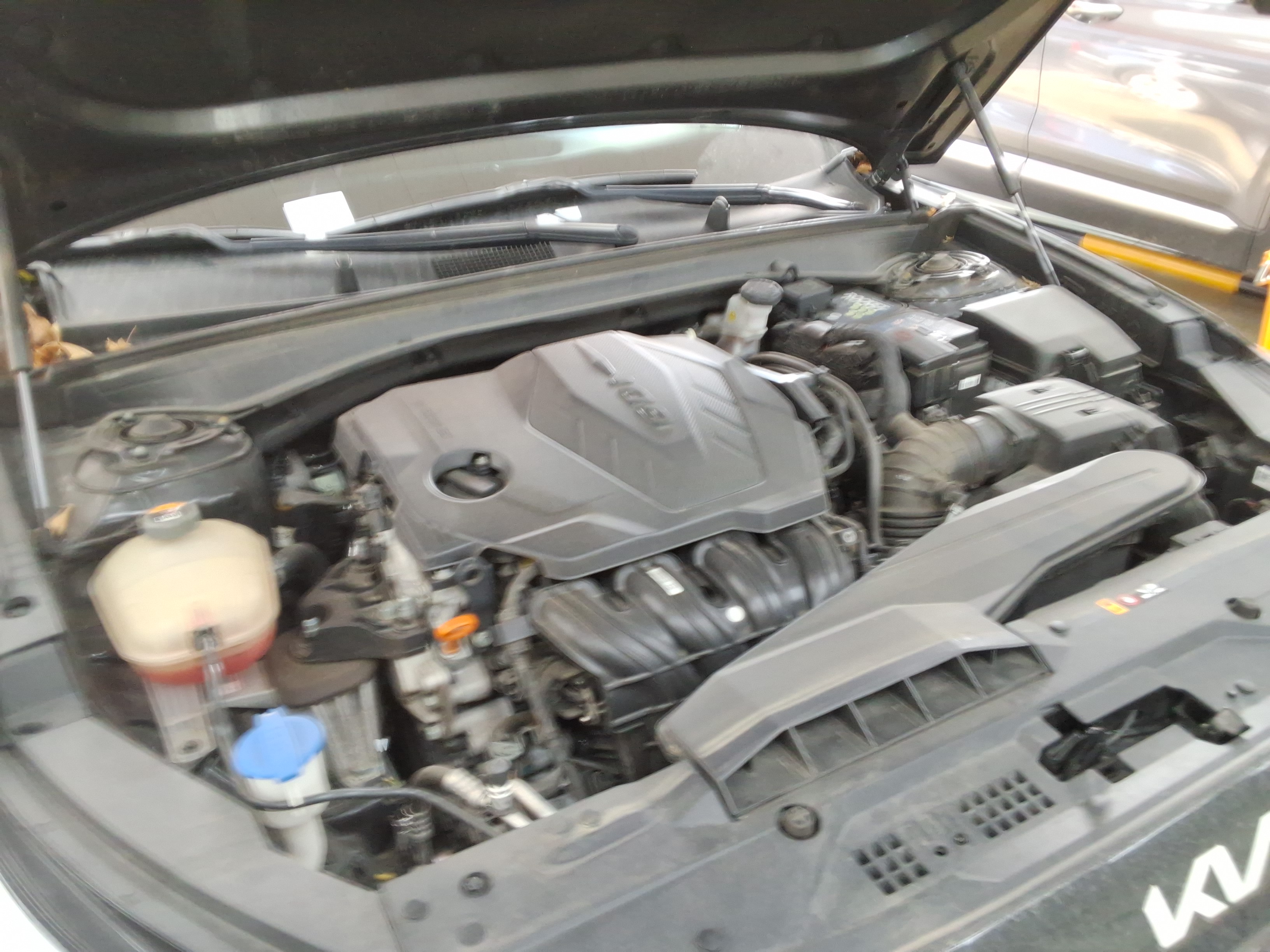 صورة إضافية