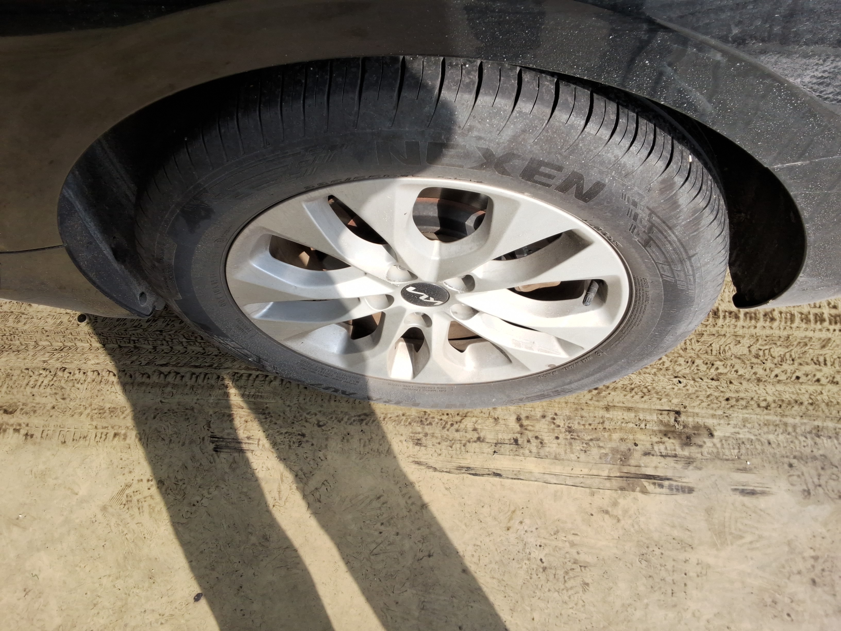 صورة إضافية