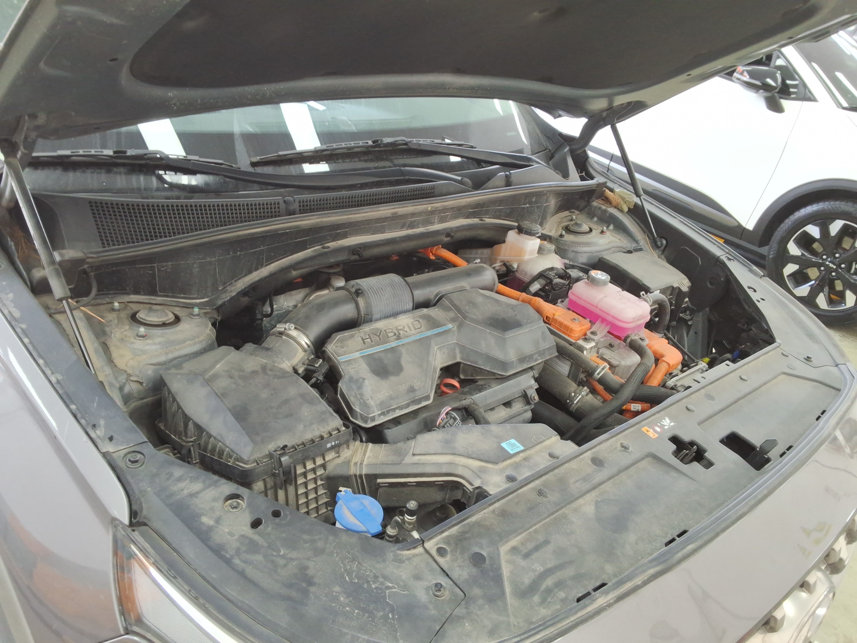 صورة إضافية