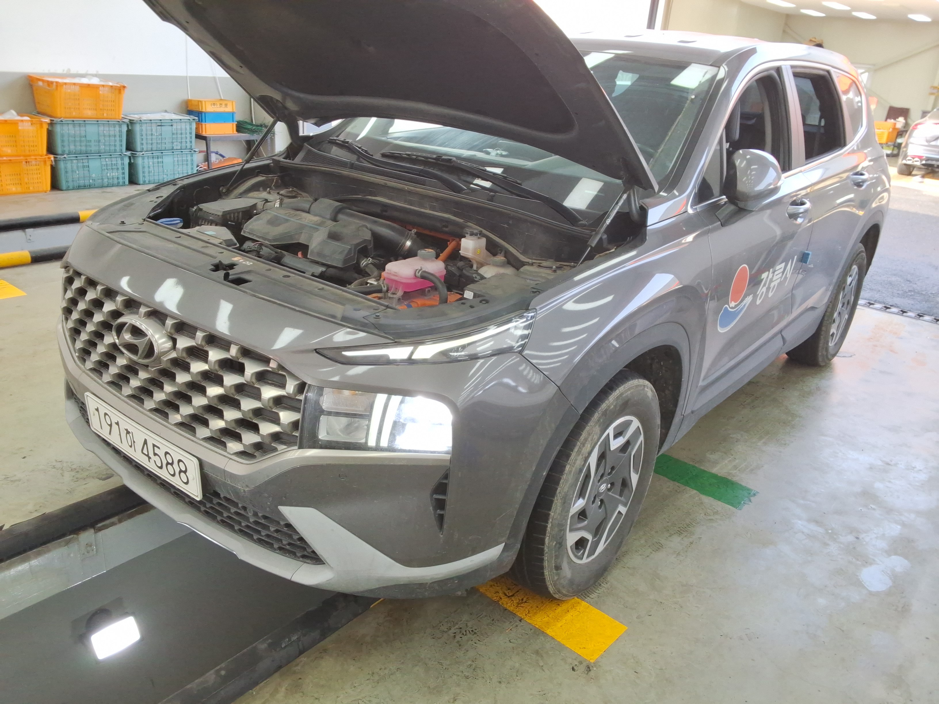 صورة إضافية