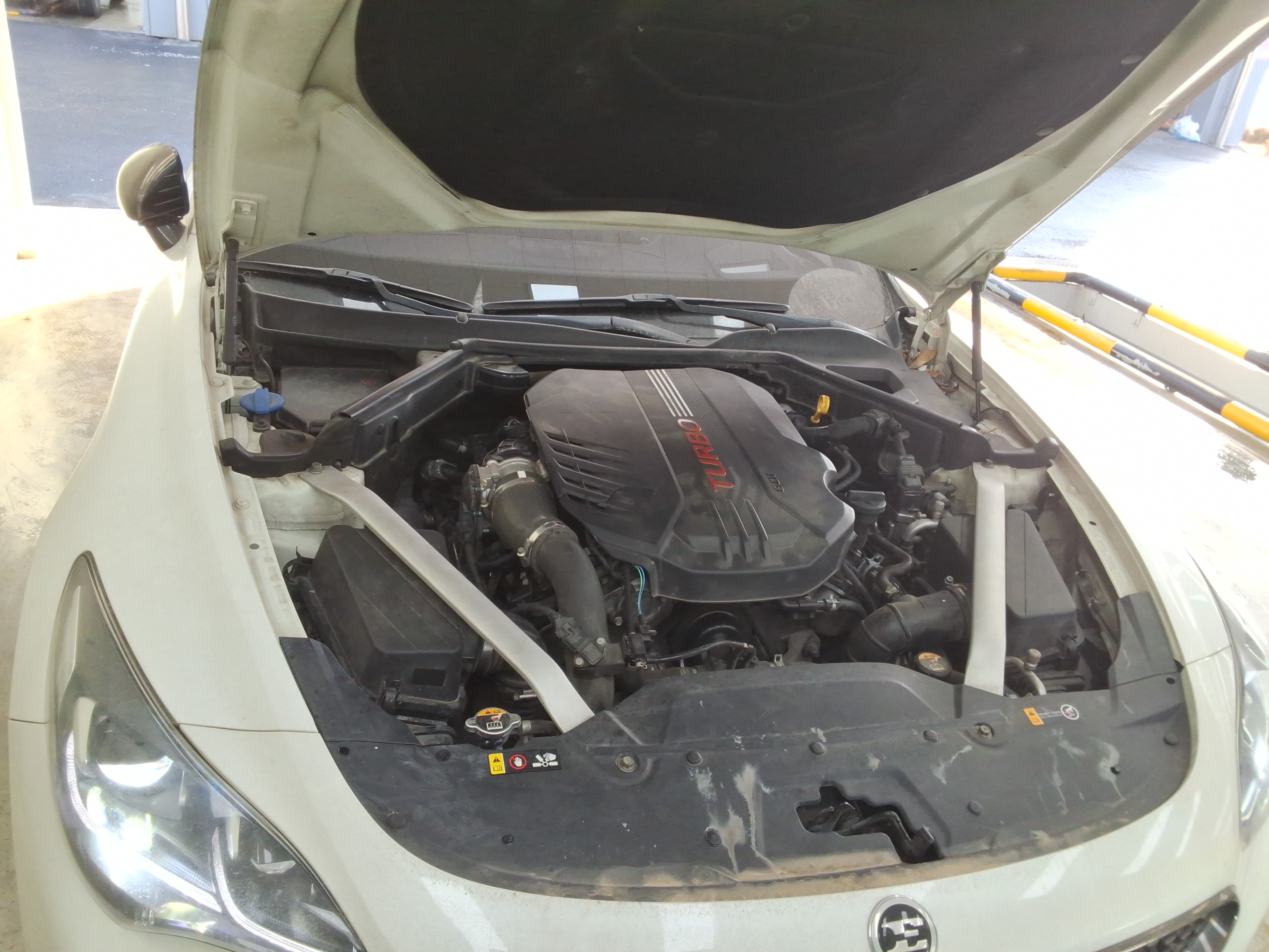 صورة إضافية