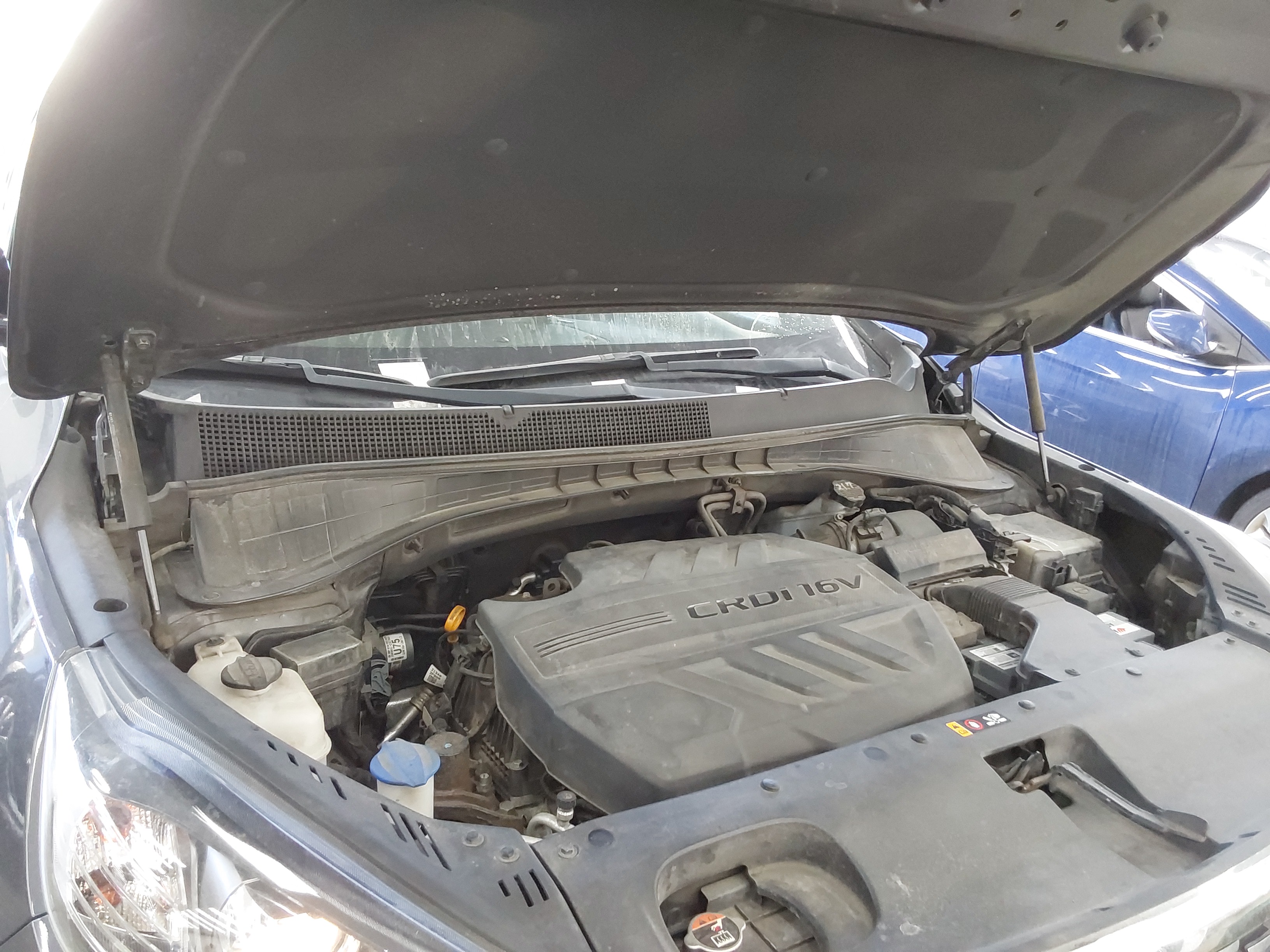 صورة إضافية