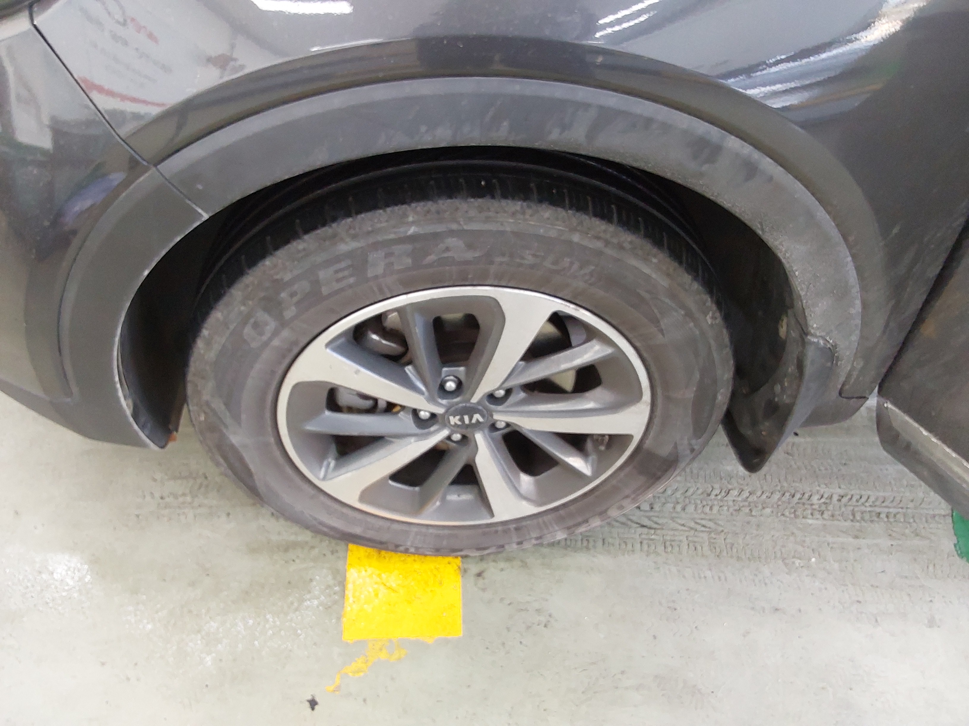 صورة إضافية