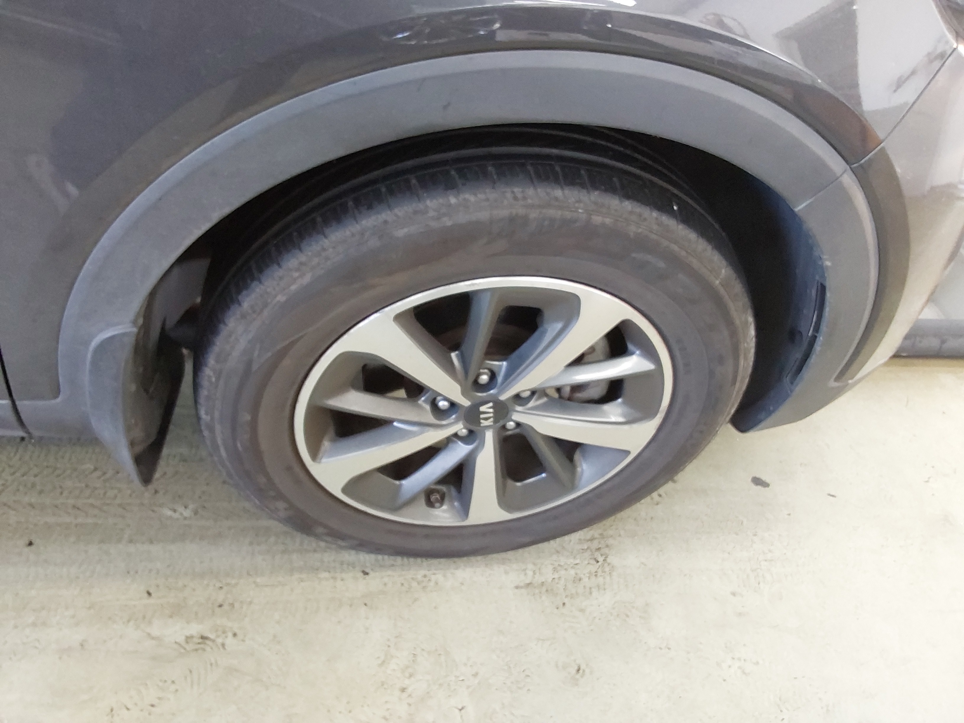 صورة إضافية