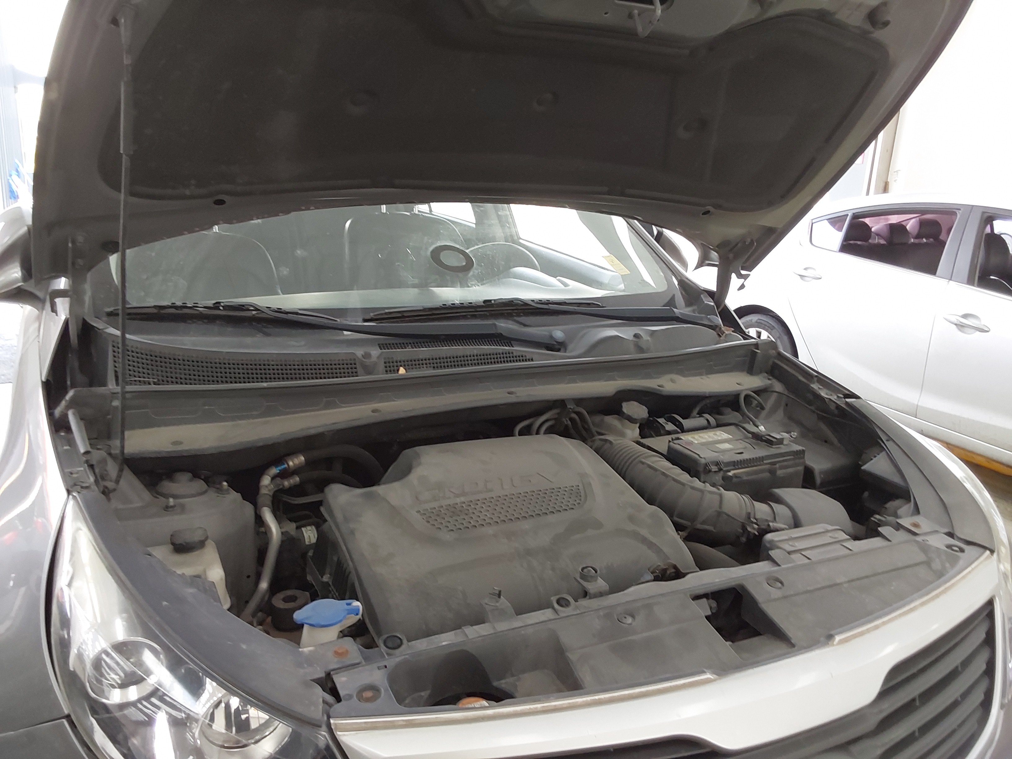 صورة إضافية