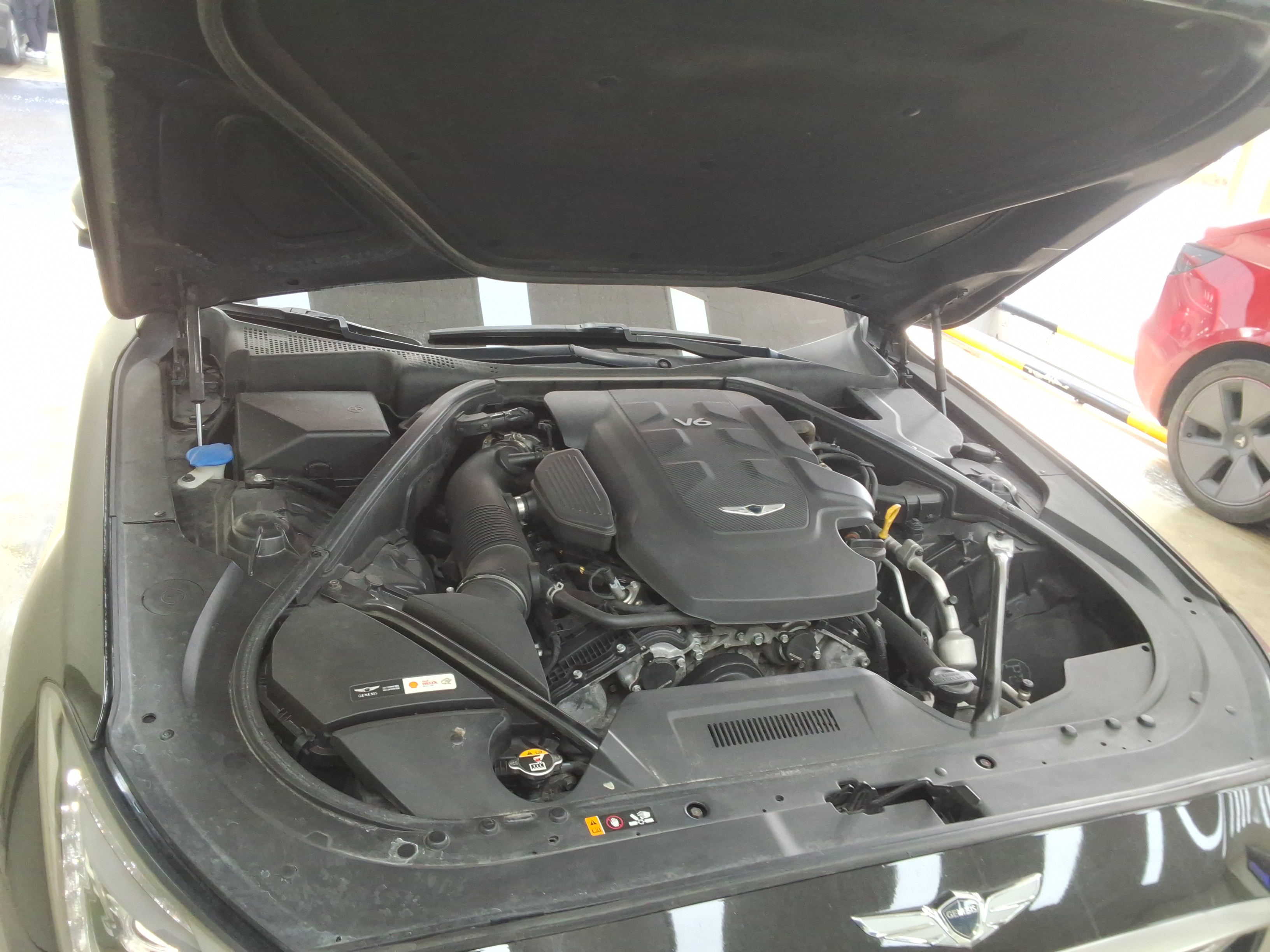 صورة إضافية