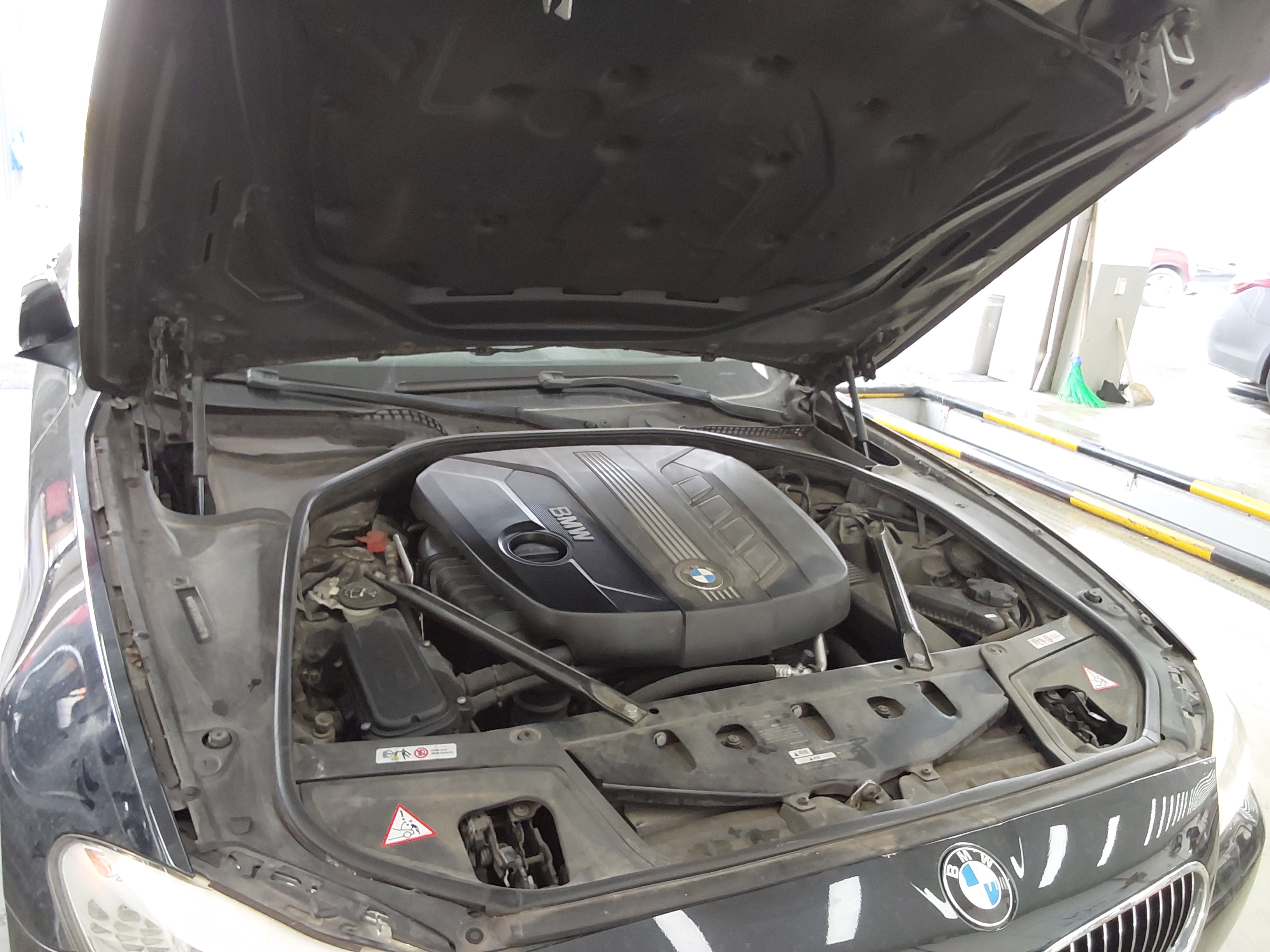 صورة إضافية