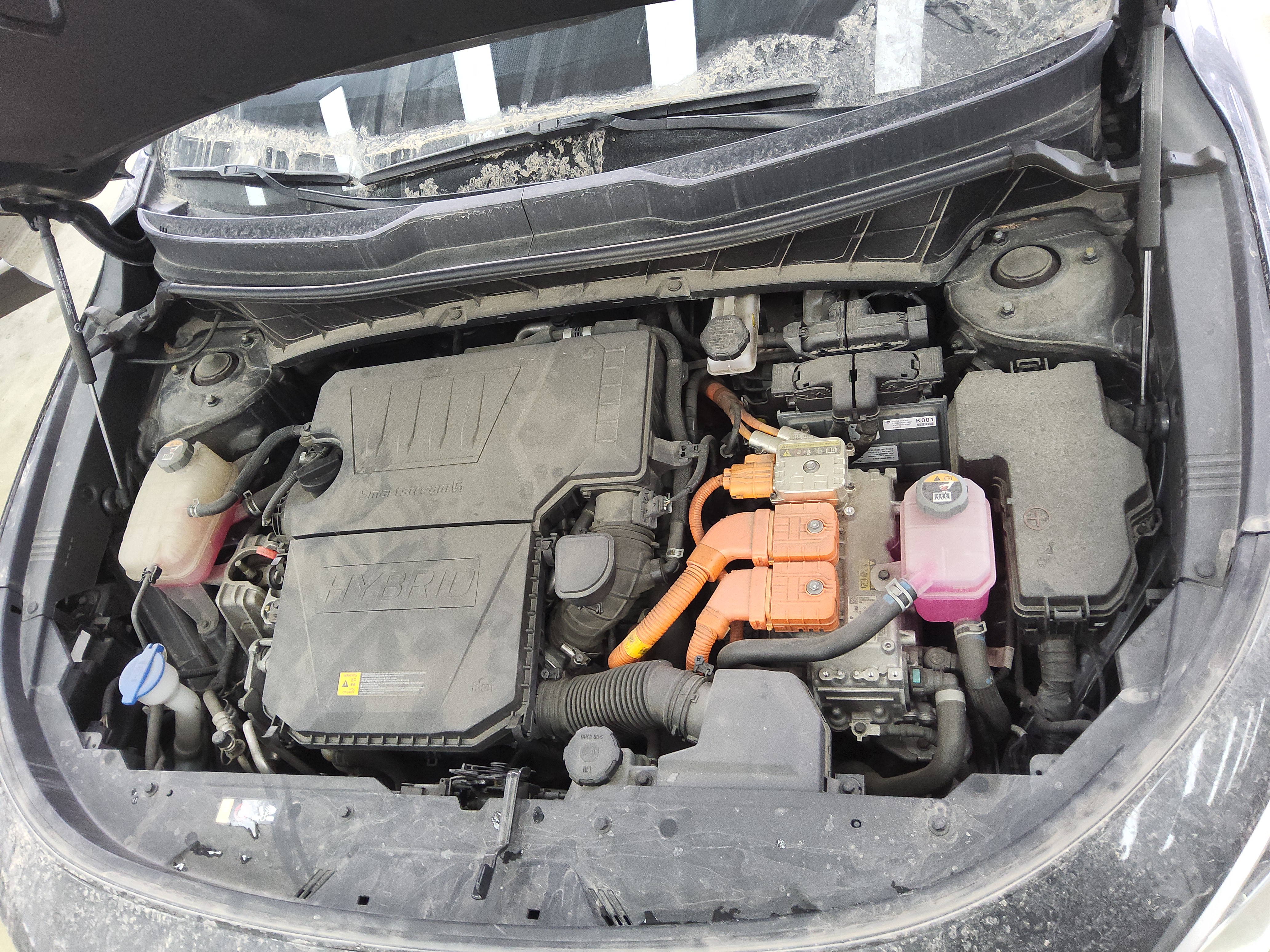 صورة إضافية