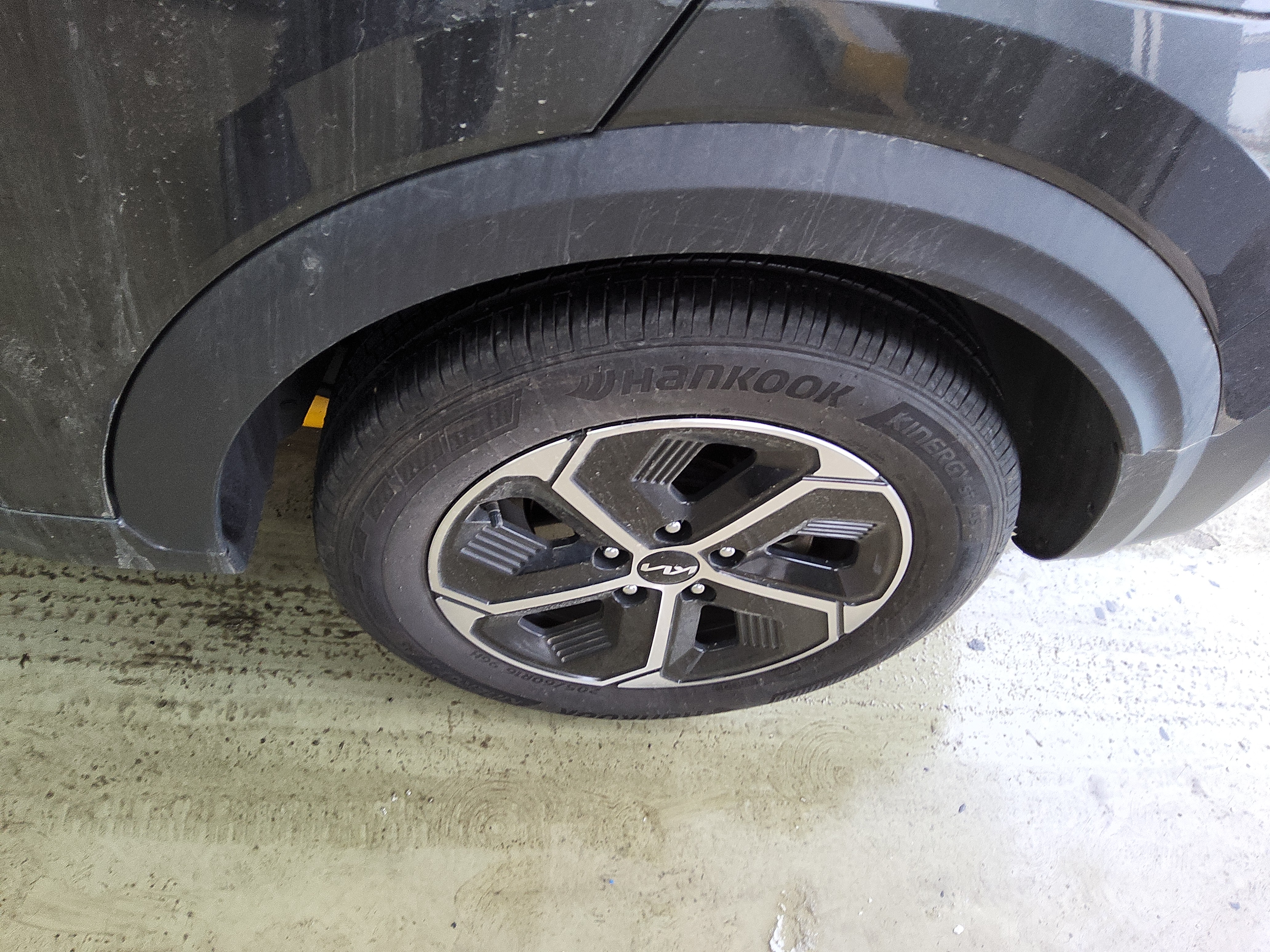 صورة إضافية