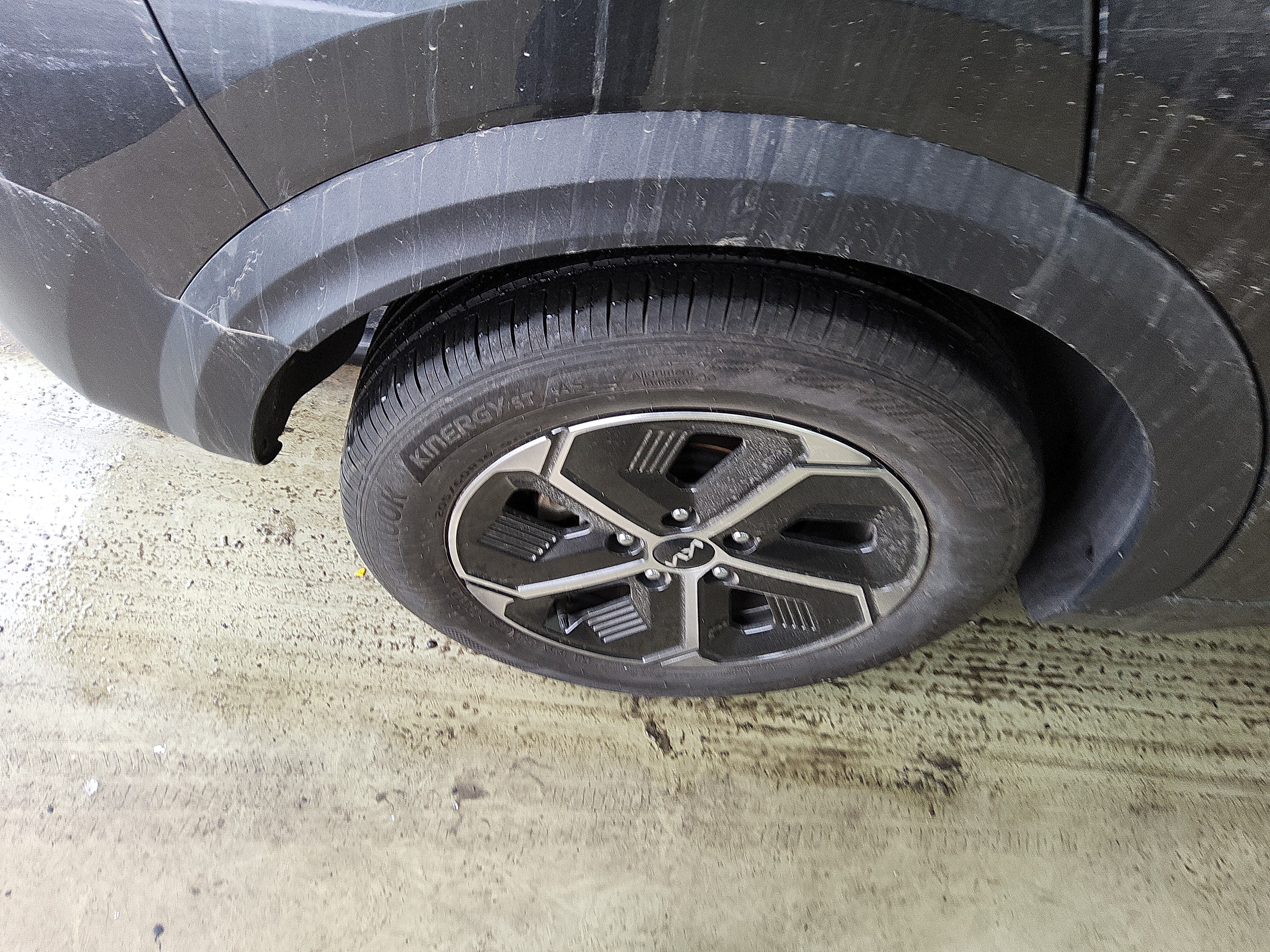 صورة إضافية