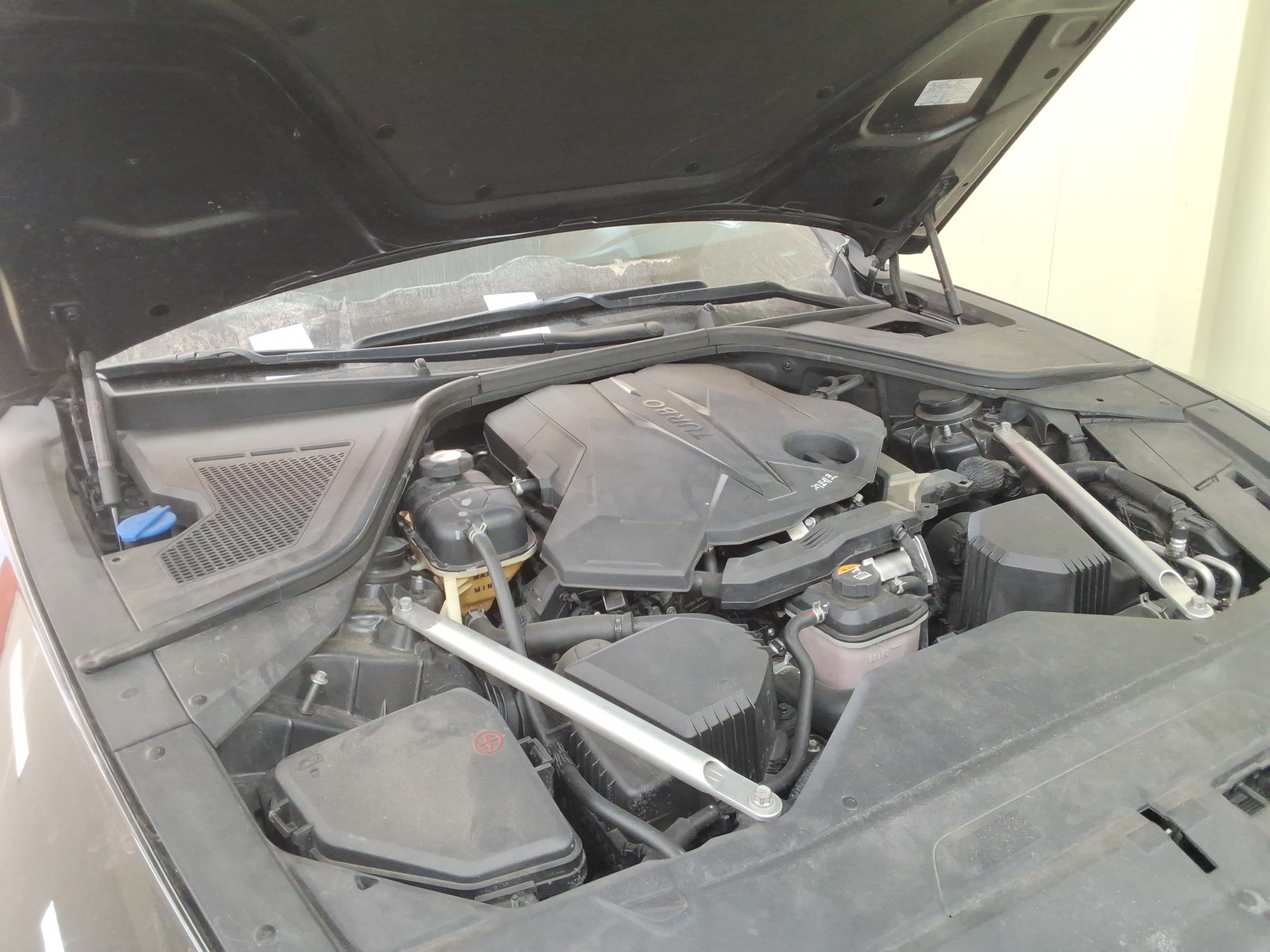 صورة إضافية