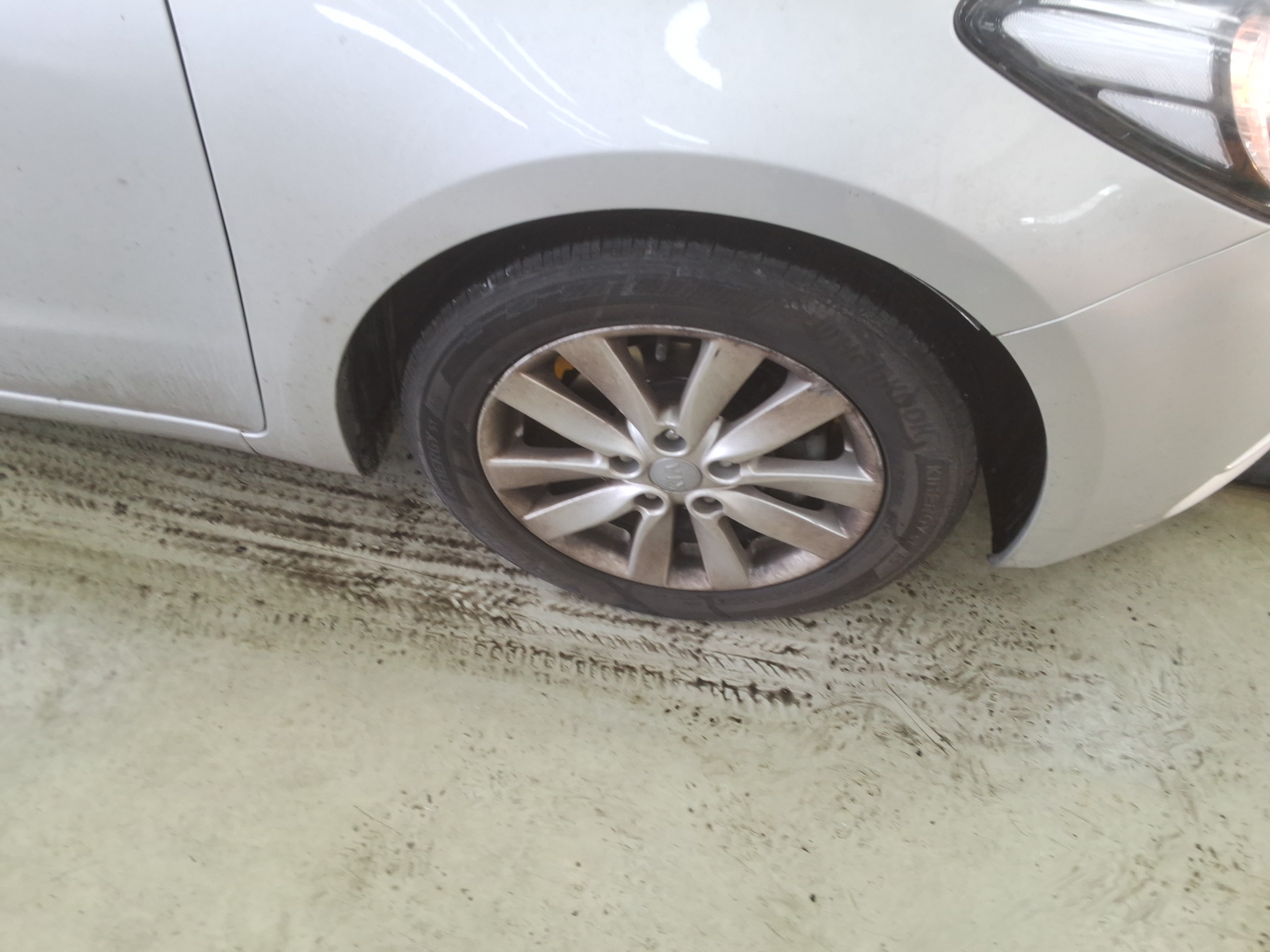 صورة إضافية