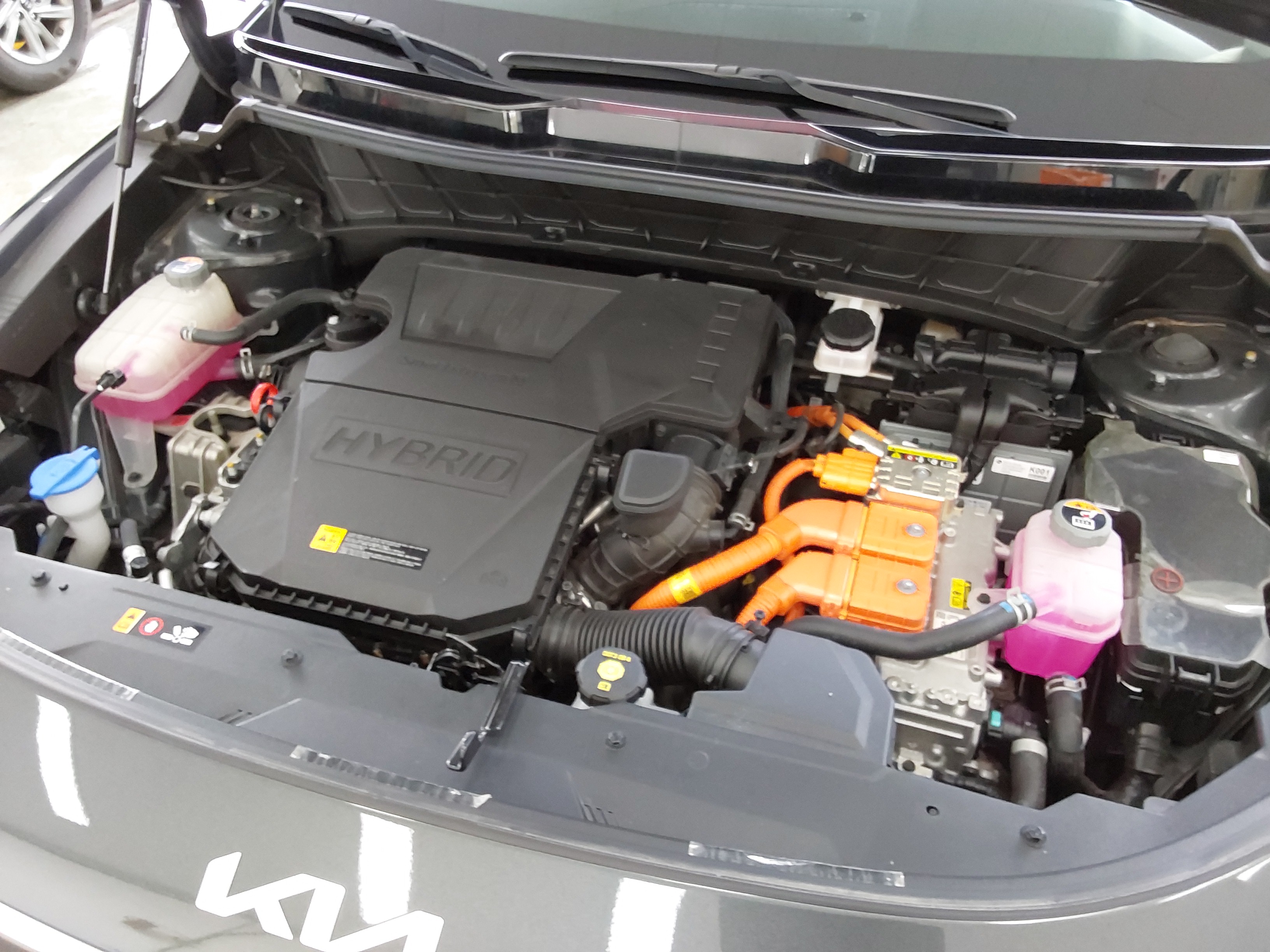 صورة إضافية