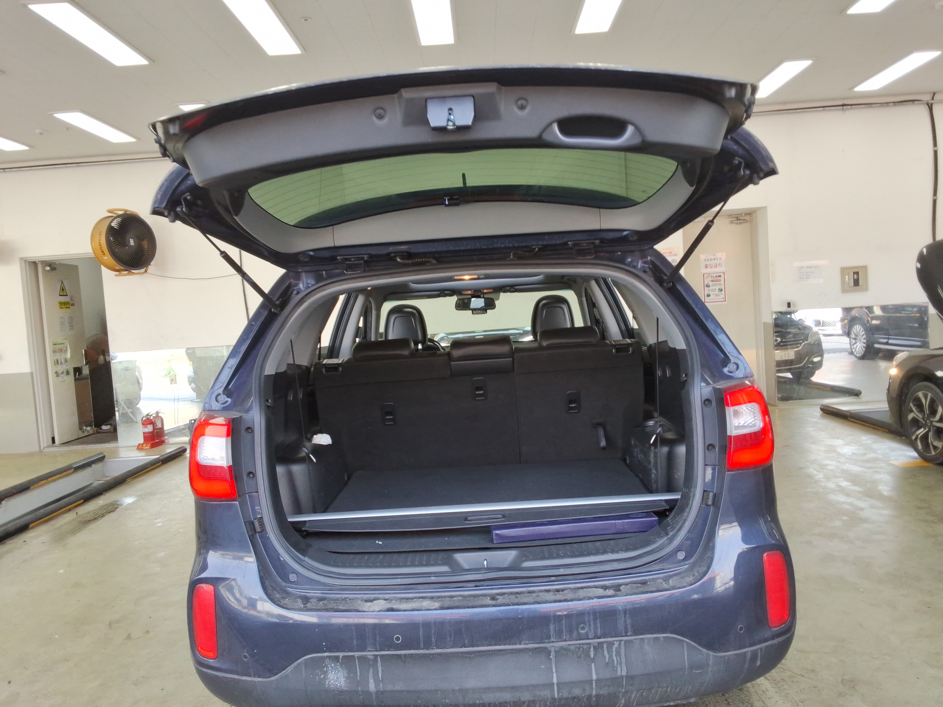 صورة إضافية