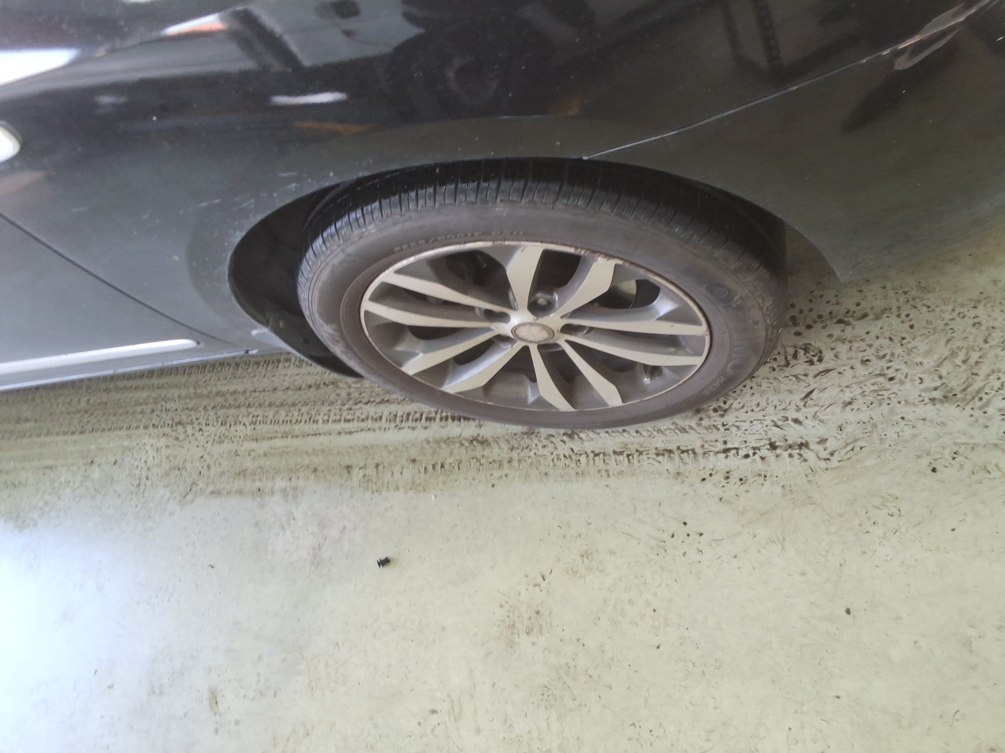 صورة إضافية