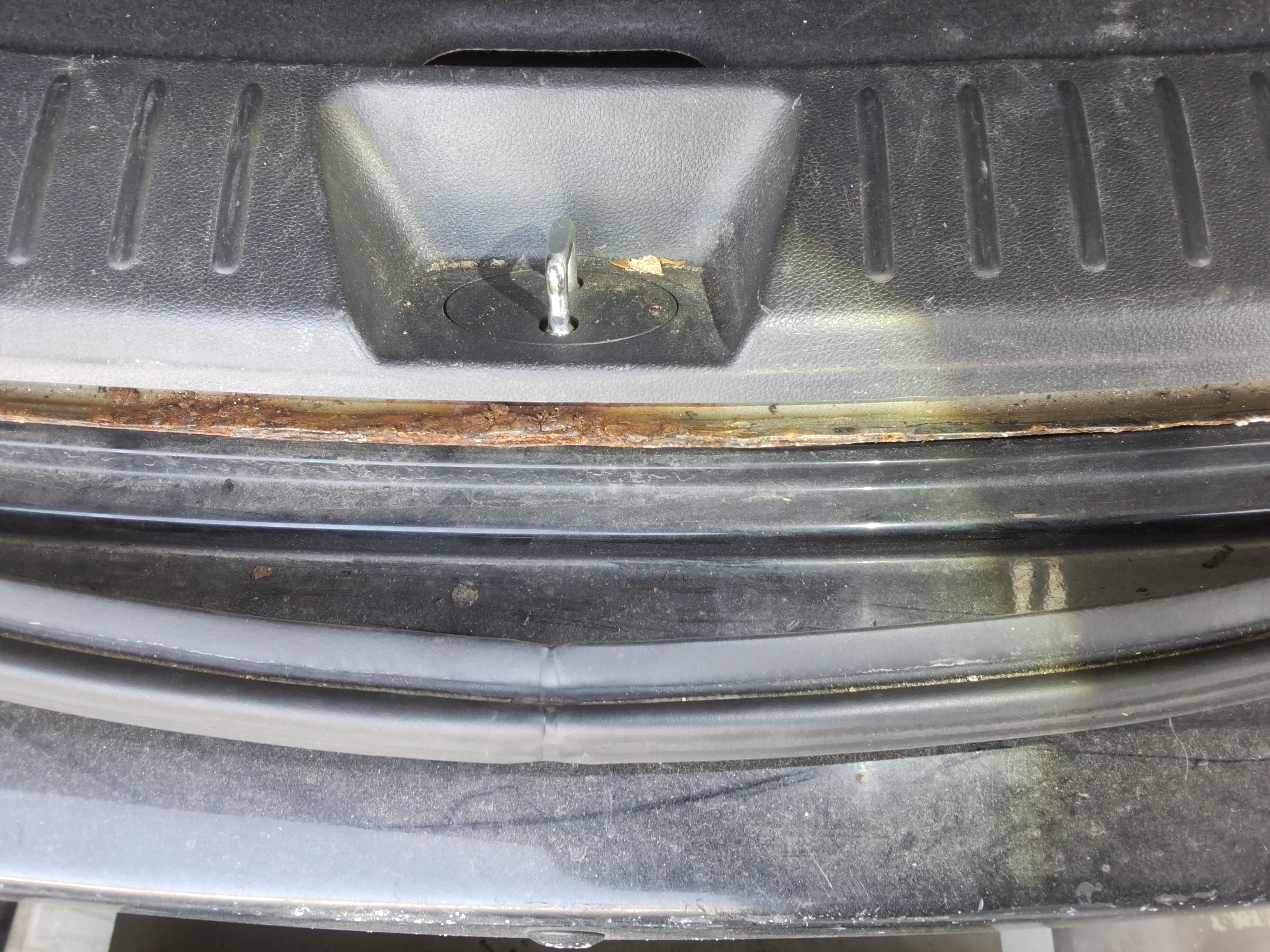 صورة إضافية