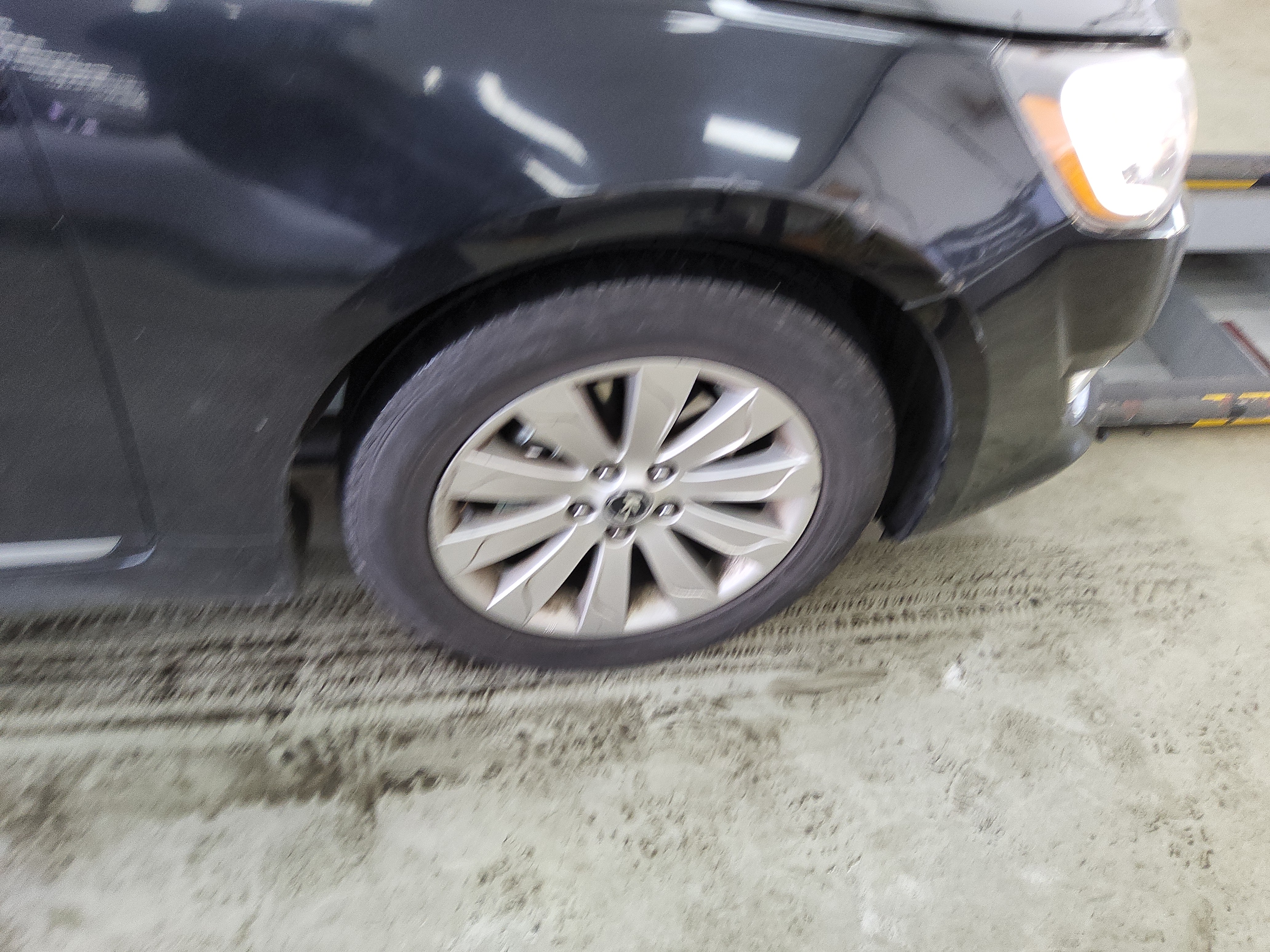 صورة إضافية