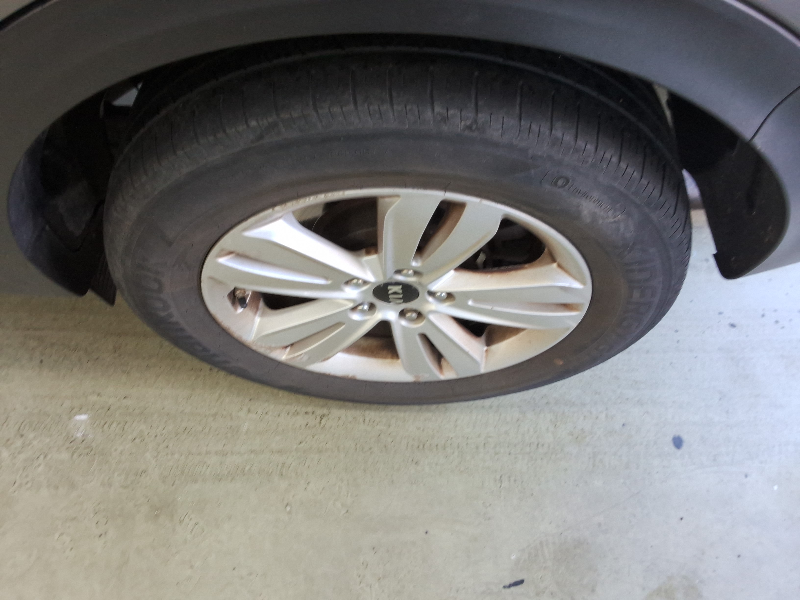 صورة إضافية