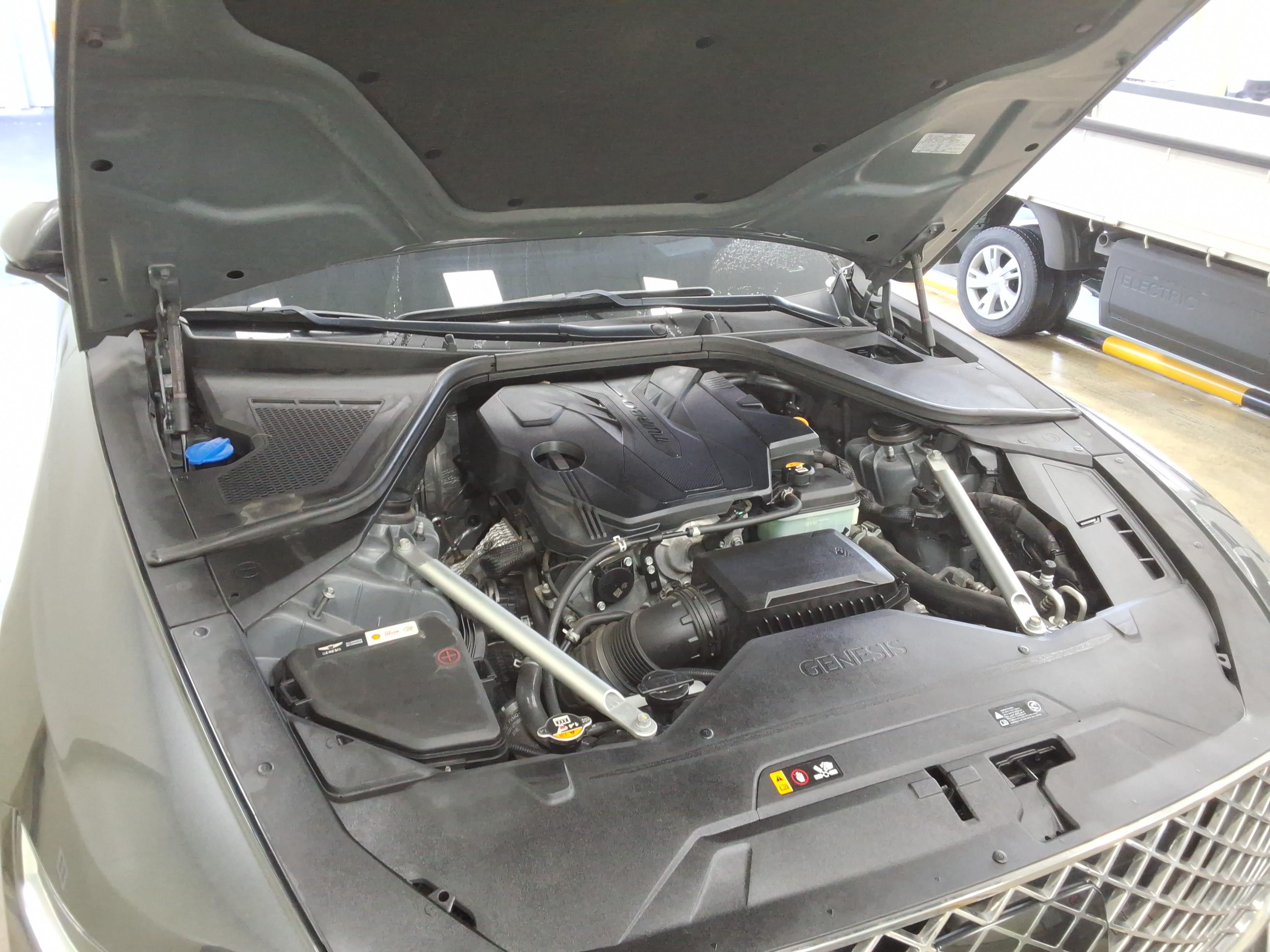 صورة إضافية