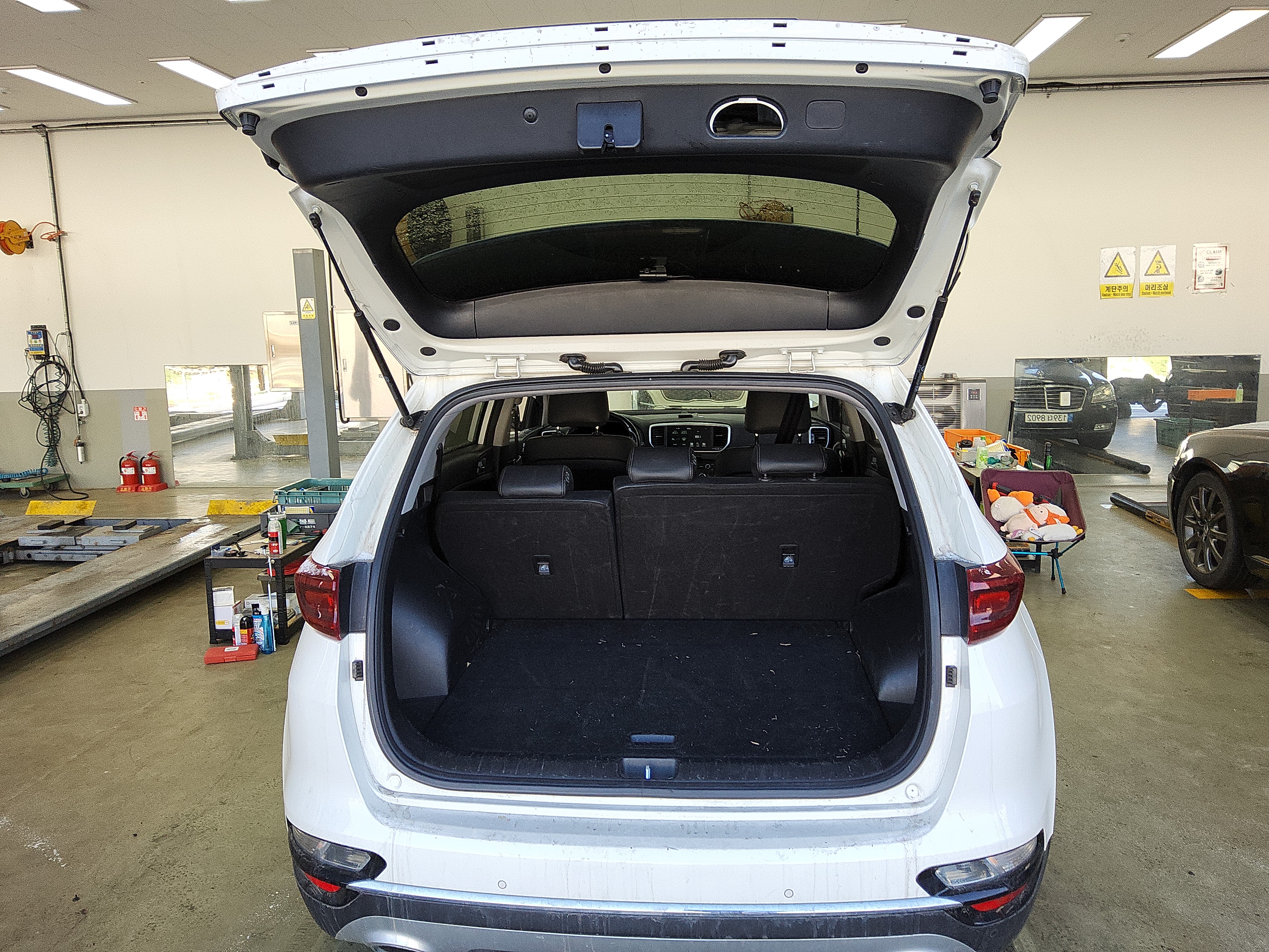 صورة إضافية