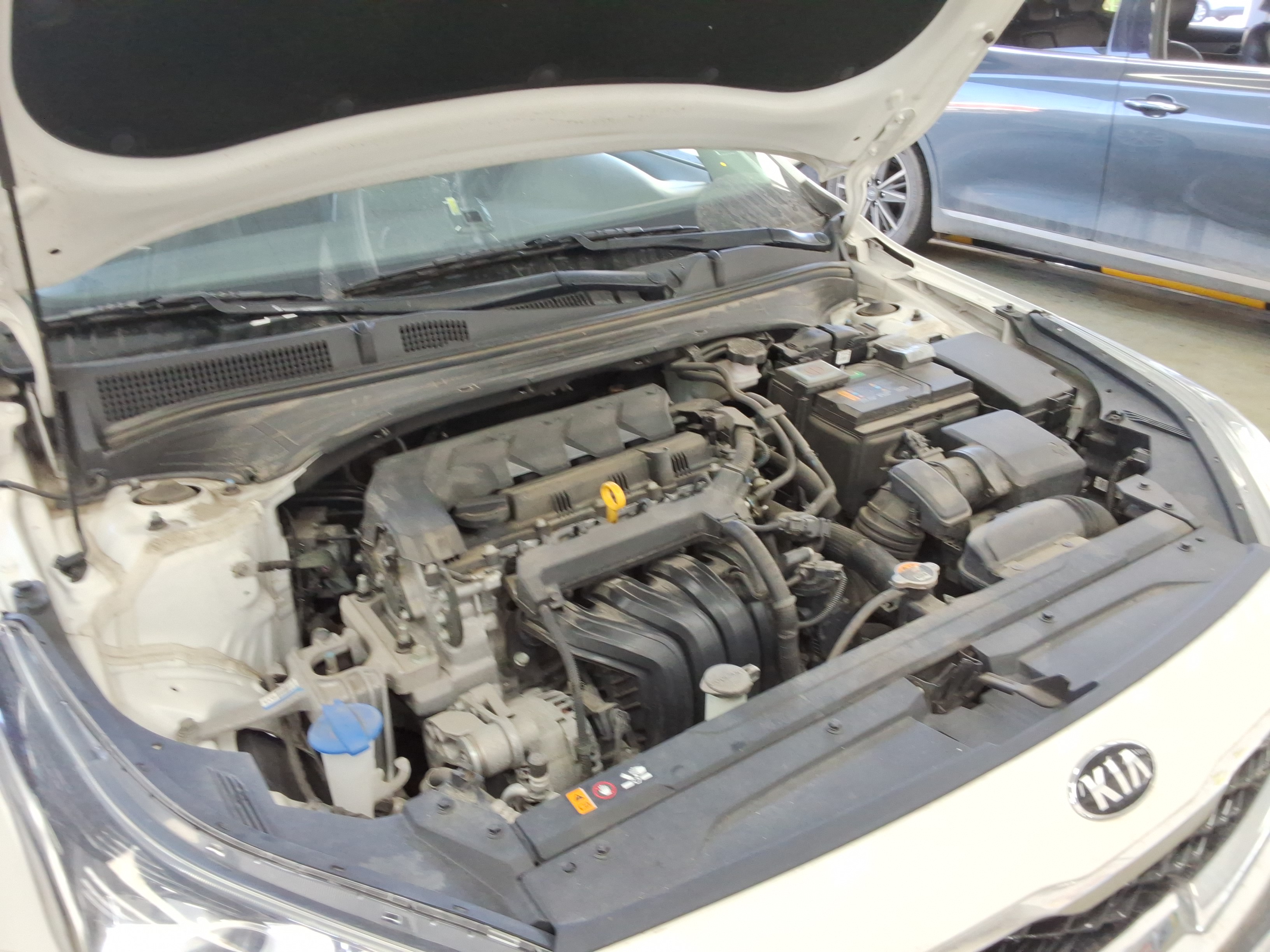 صورة إضافية