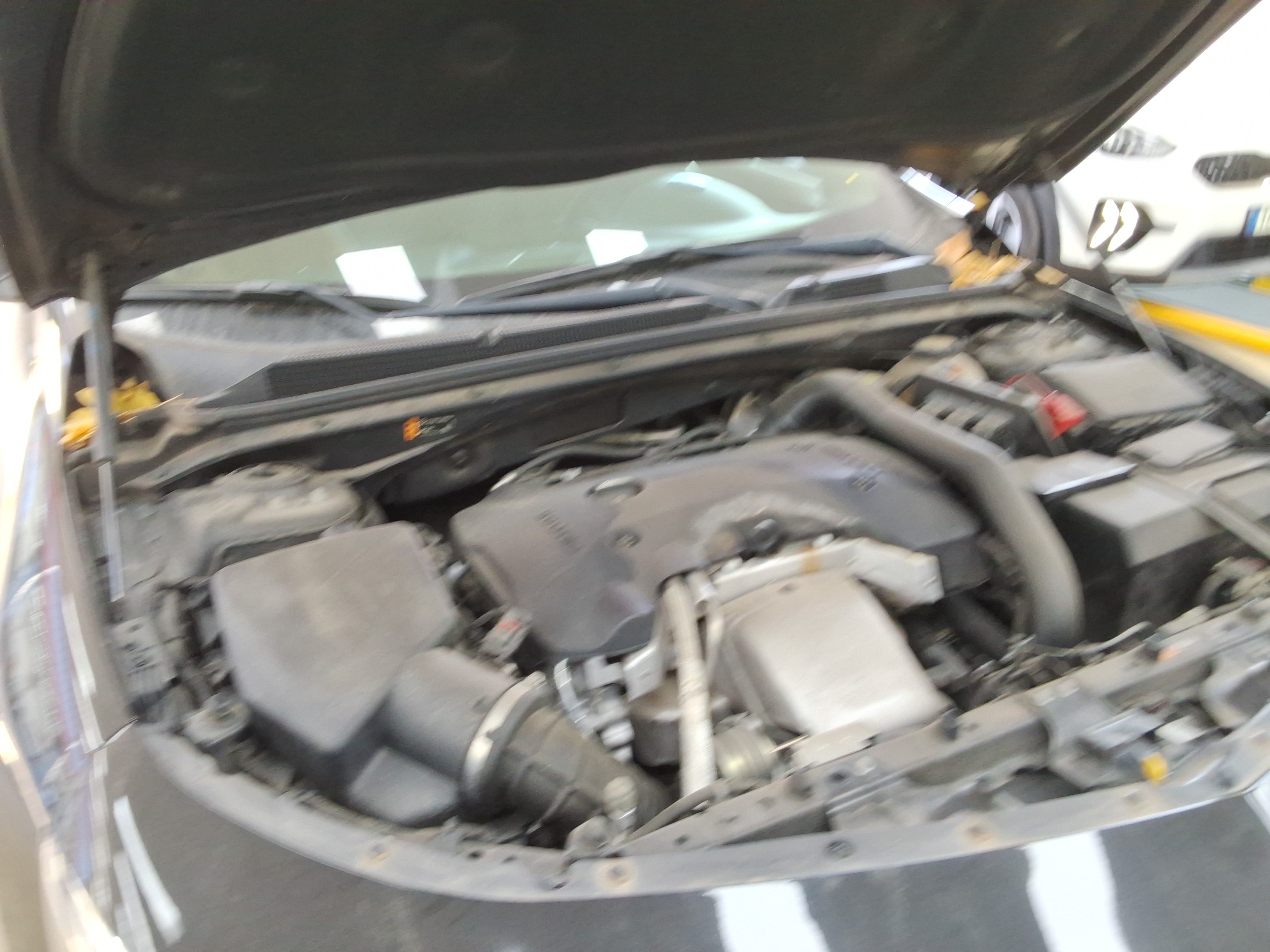 2019 - Chevrolet Malibu