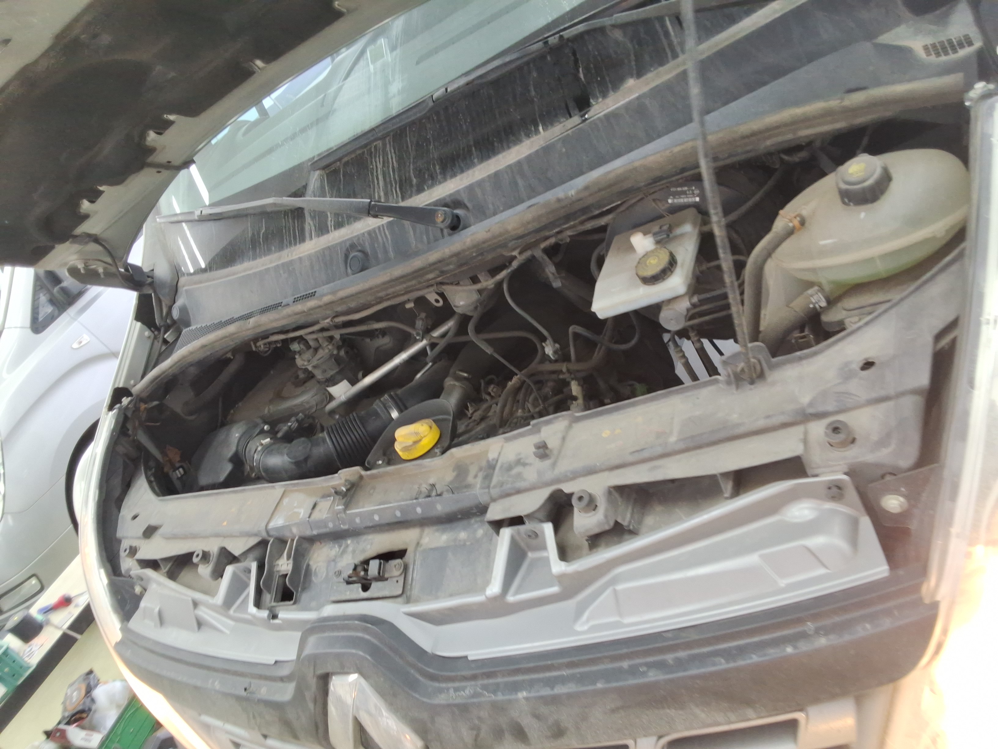 2019 - Renault Samsung Master