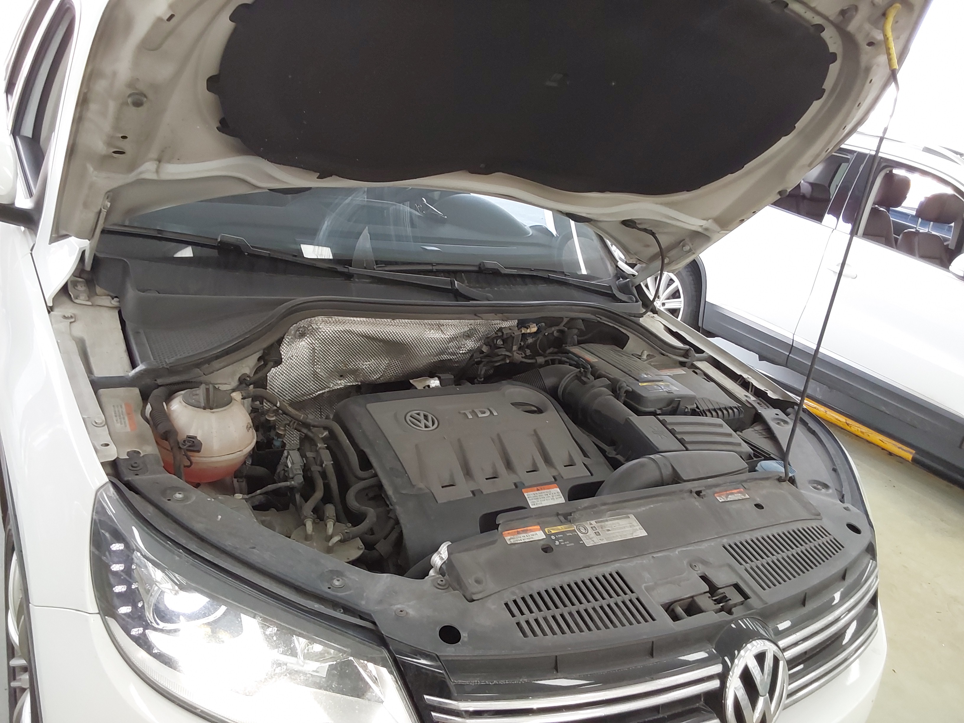 2015 - Volkswagen Tiguan