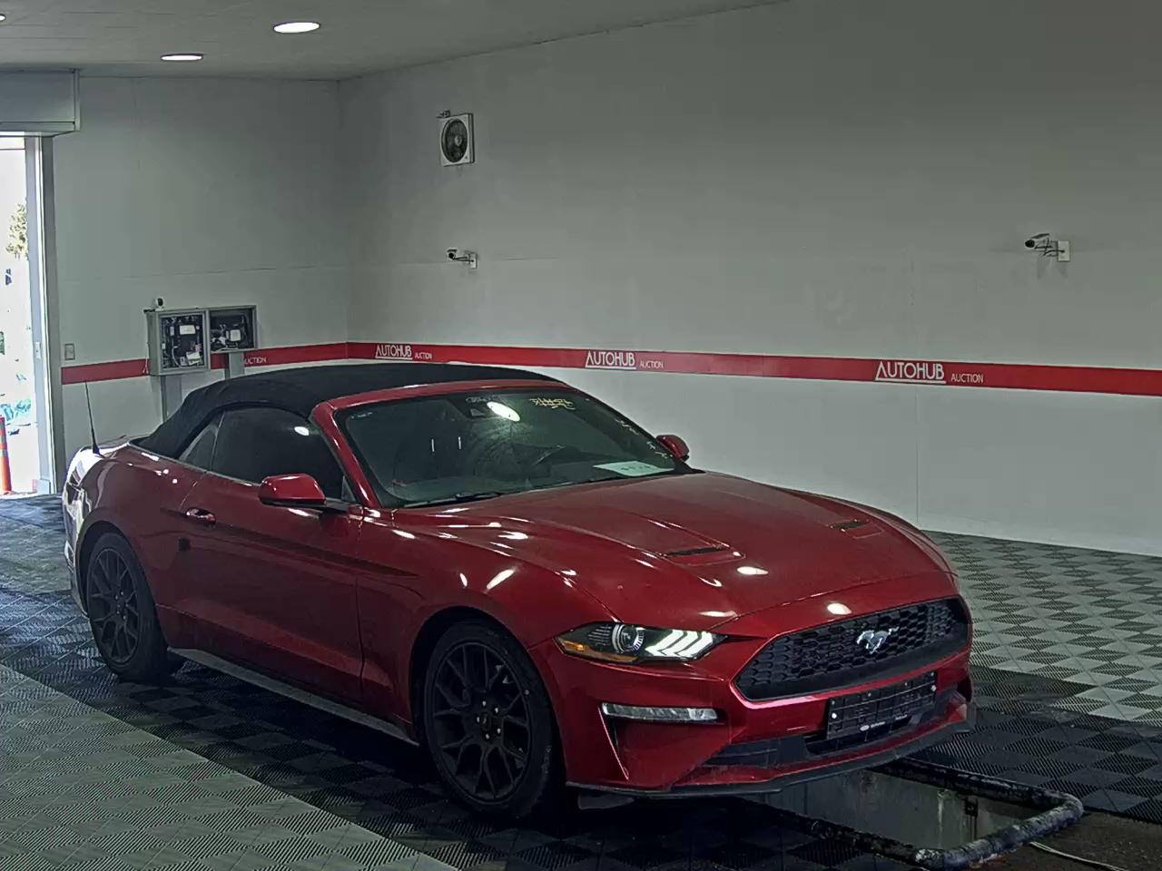 2022 - Ford Mustang