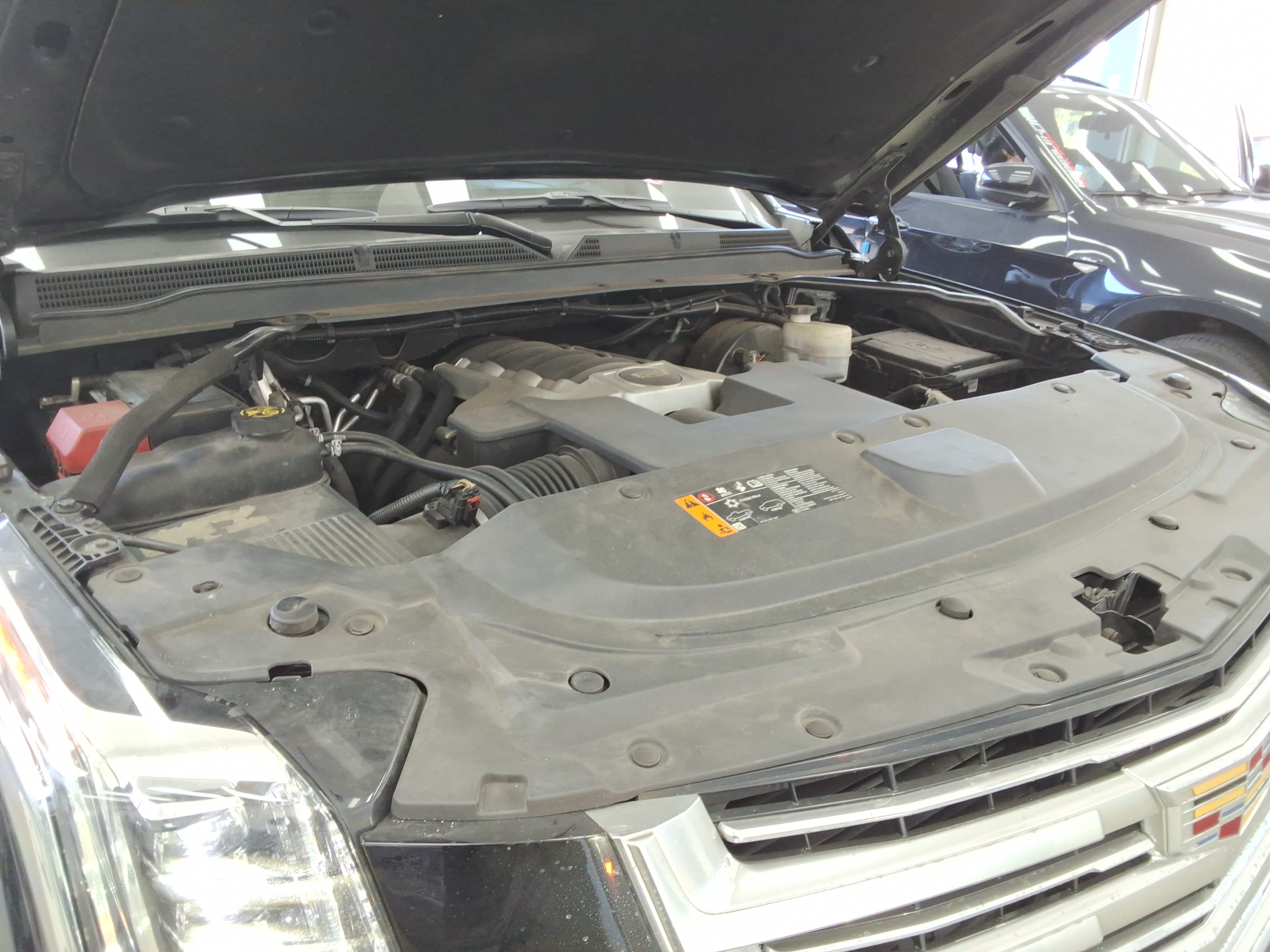 2019 - Cadillac Escalade