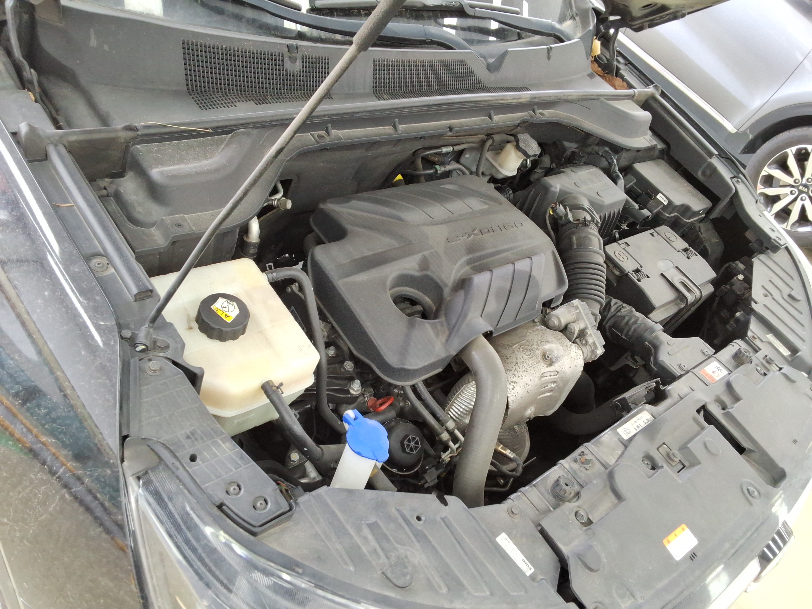 2019 - KG Mobility (SsangYong) Korando