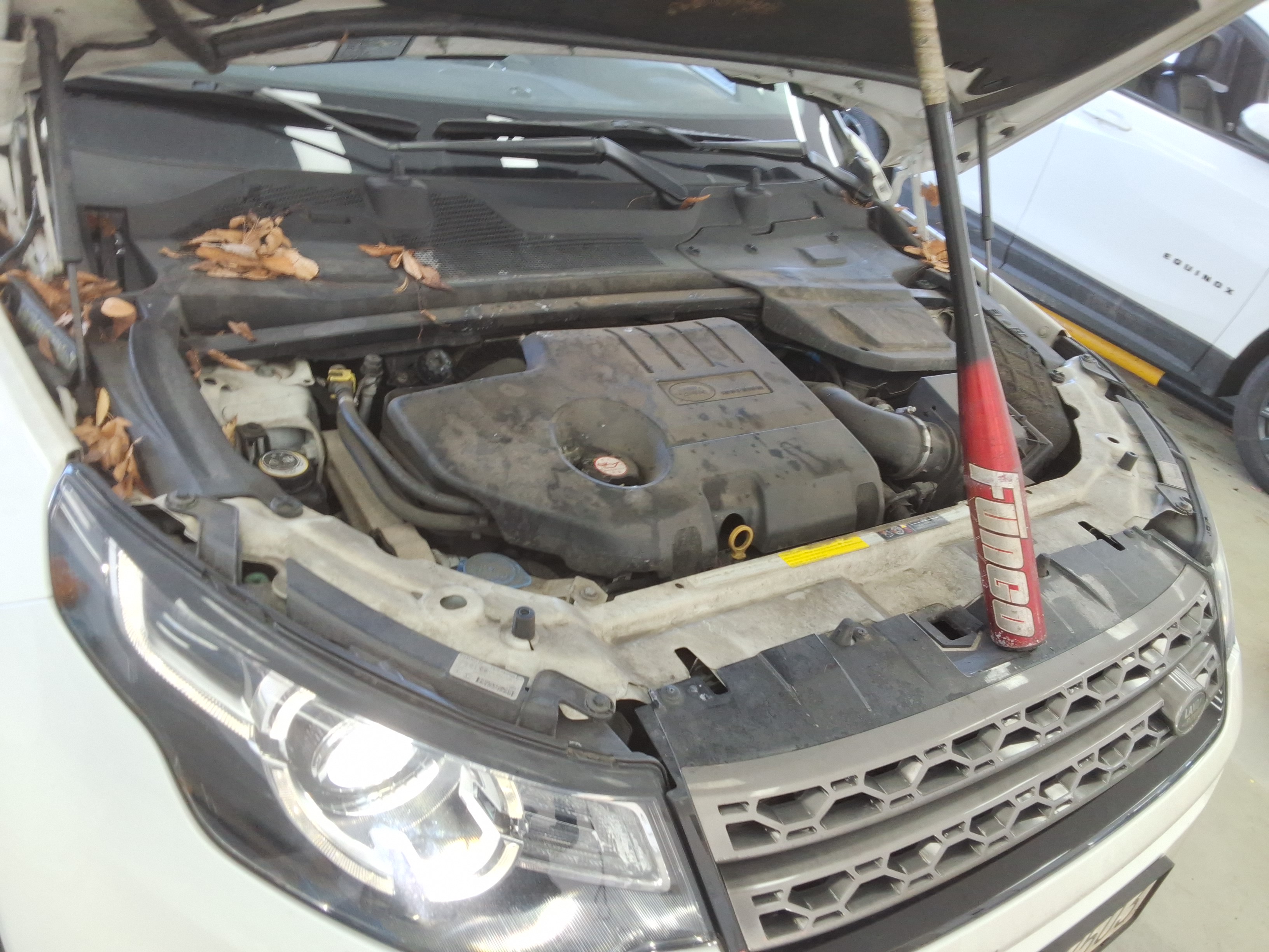 2019 - Land Rover Discovery