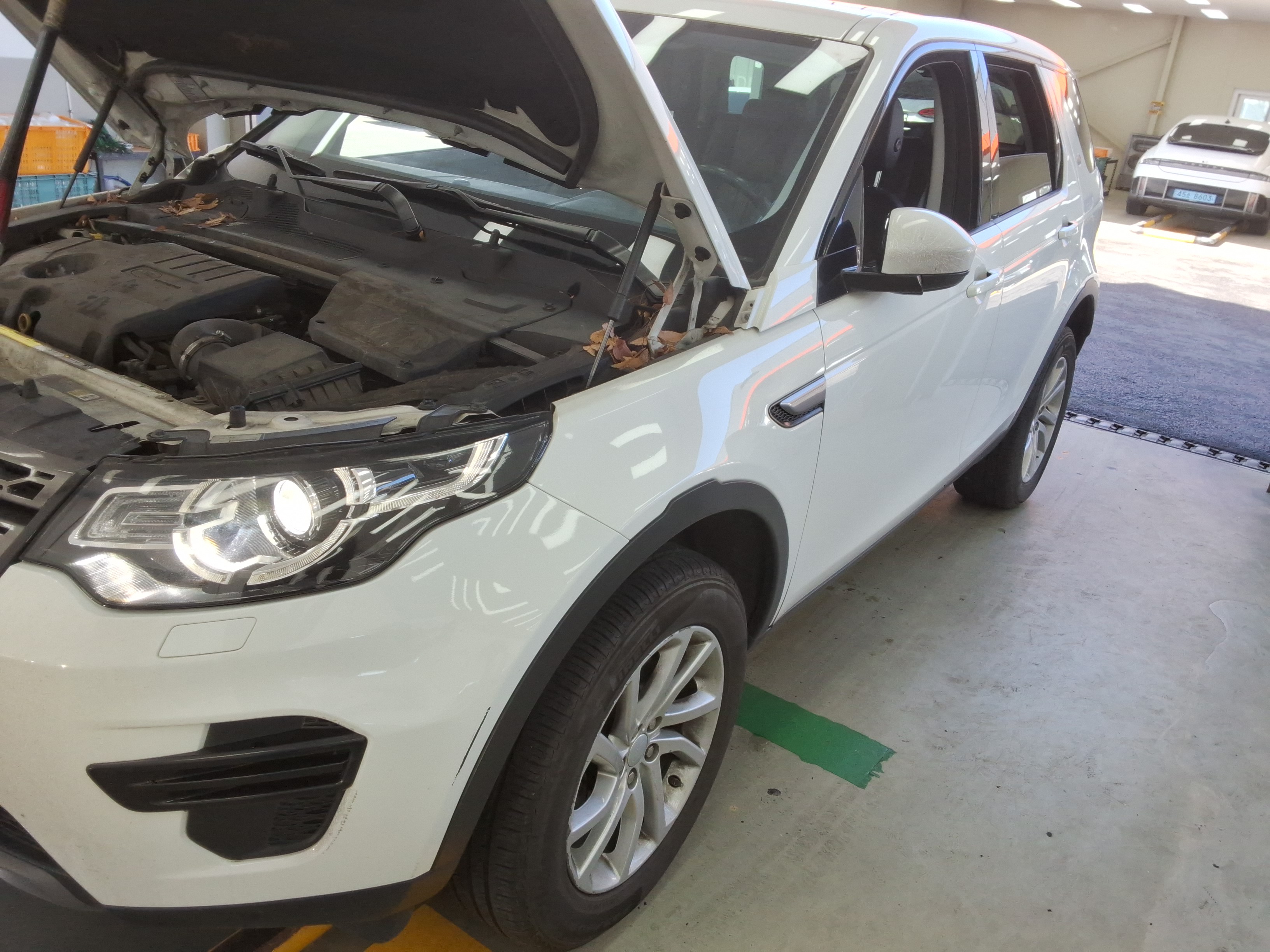 2019 - Land Rover Discovery