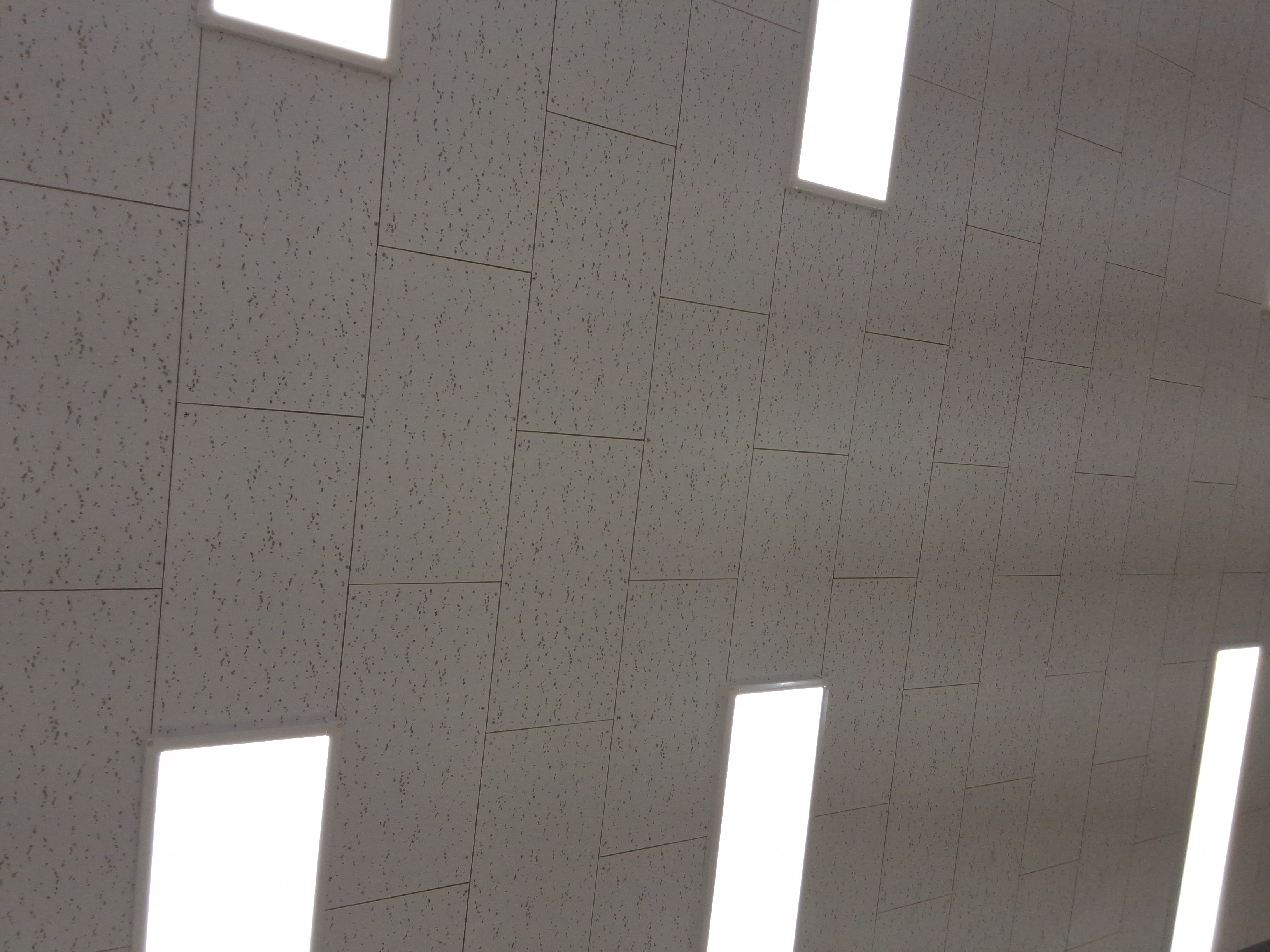 2021 - Mercedes-Benz CLS 450