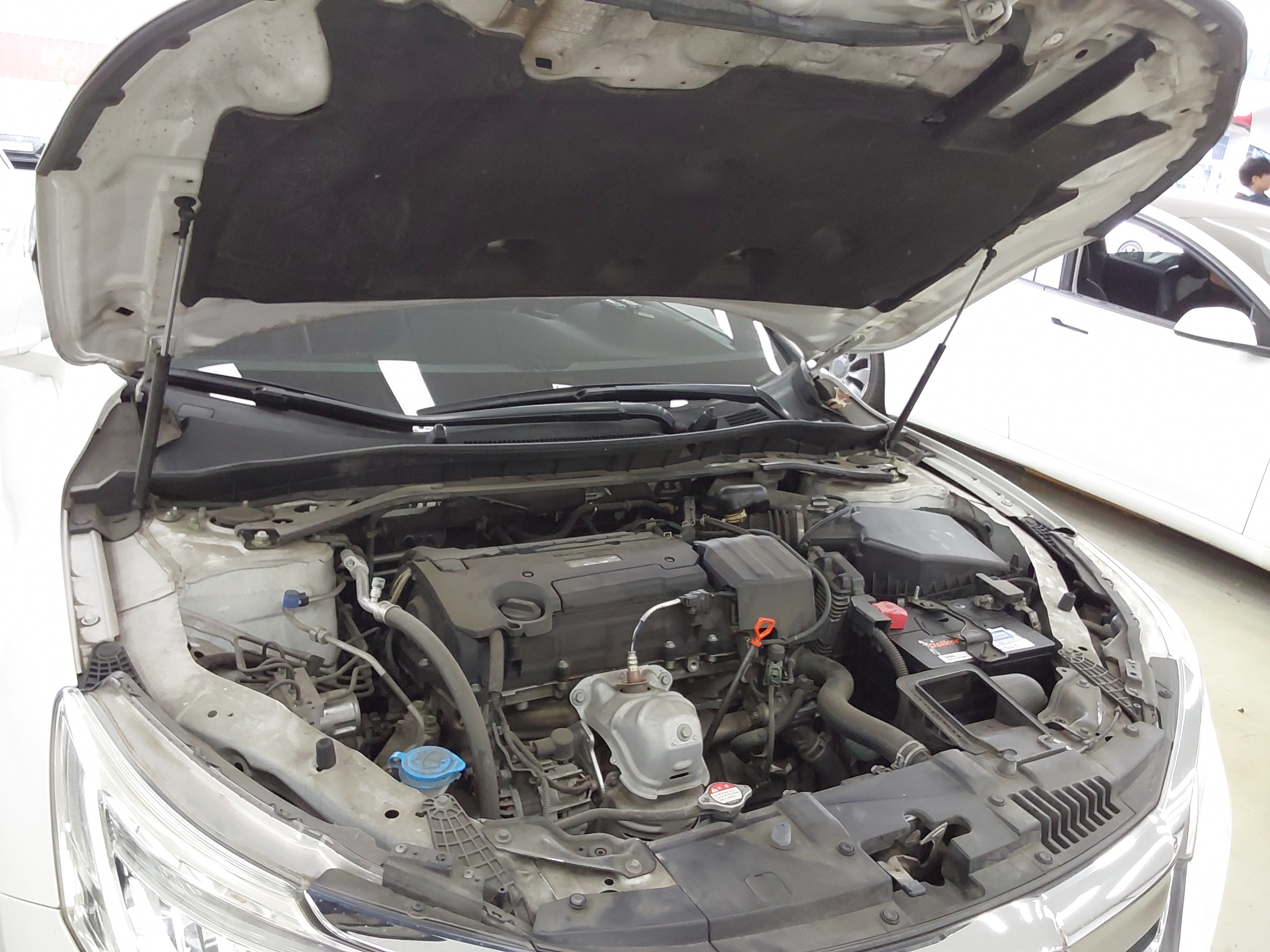 2017 - Honda New Accord