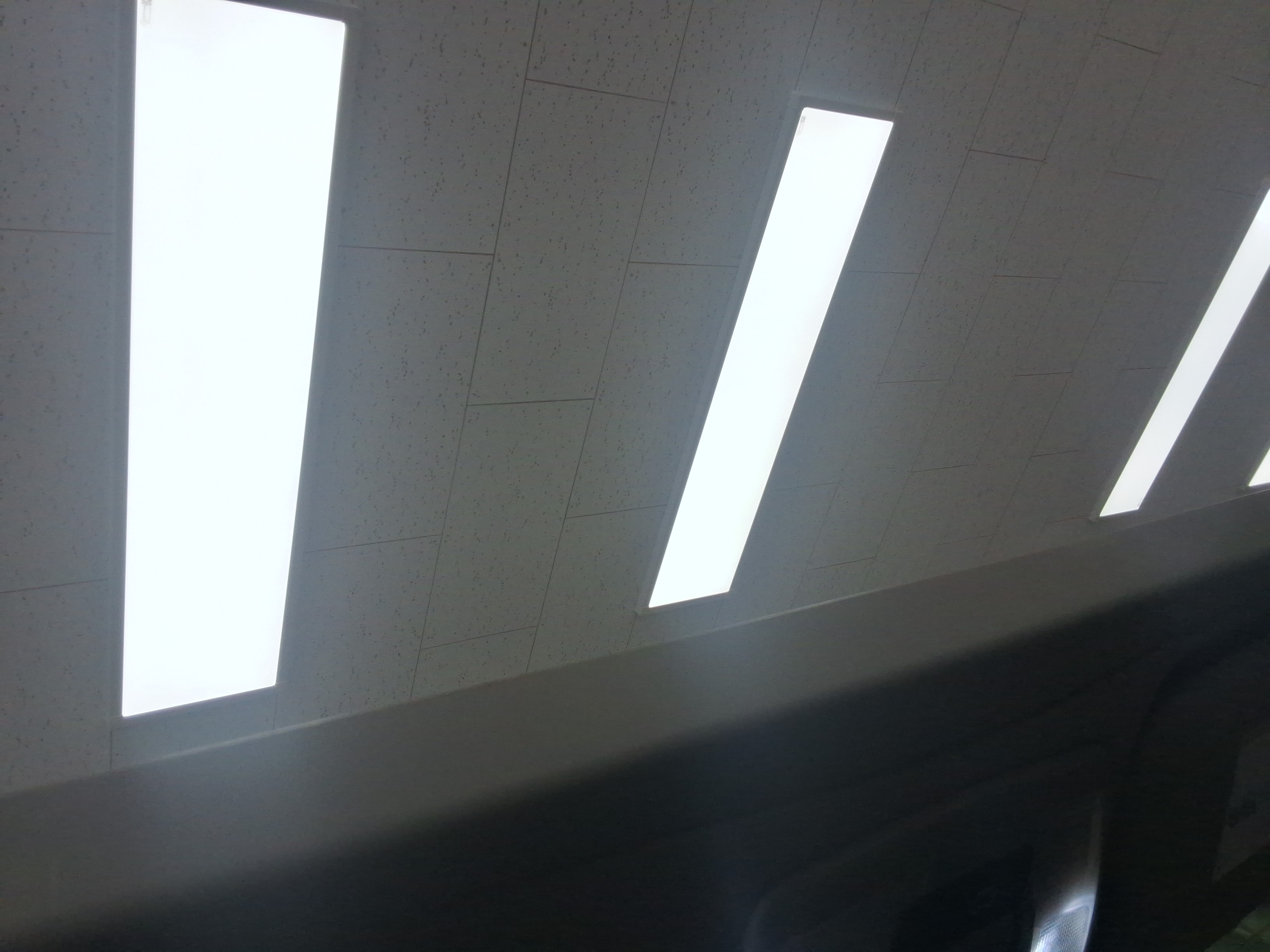 2019 - Toyota Sienna