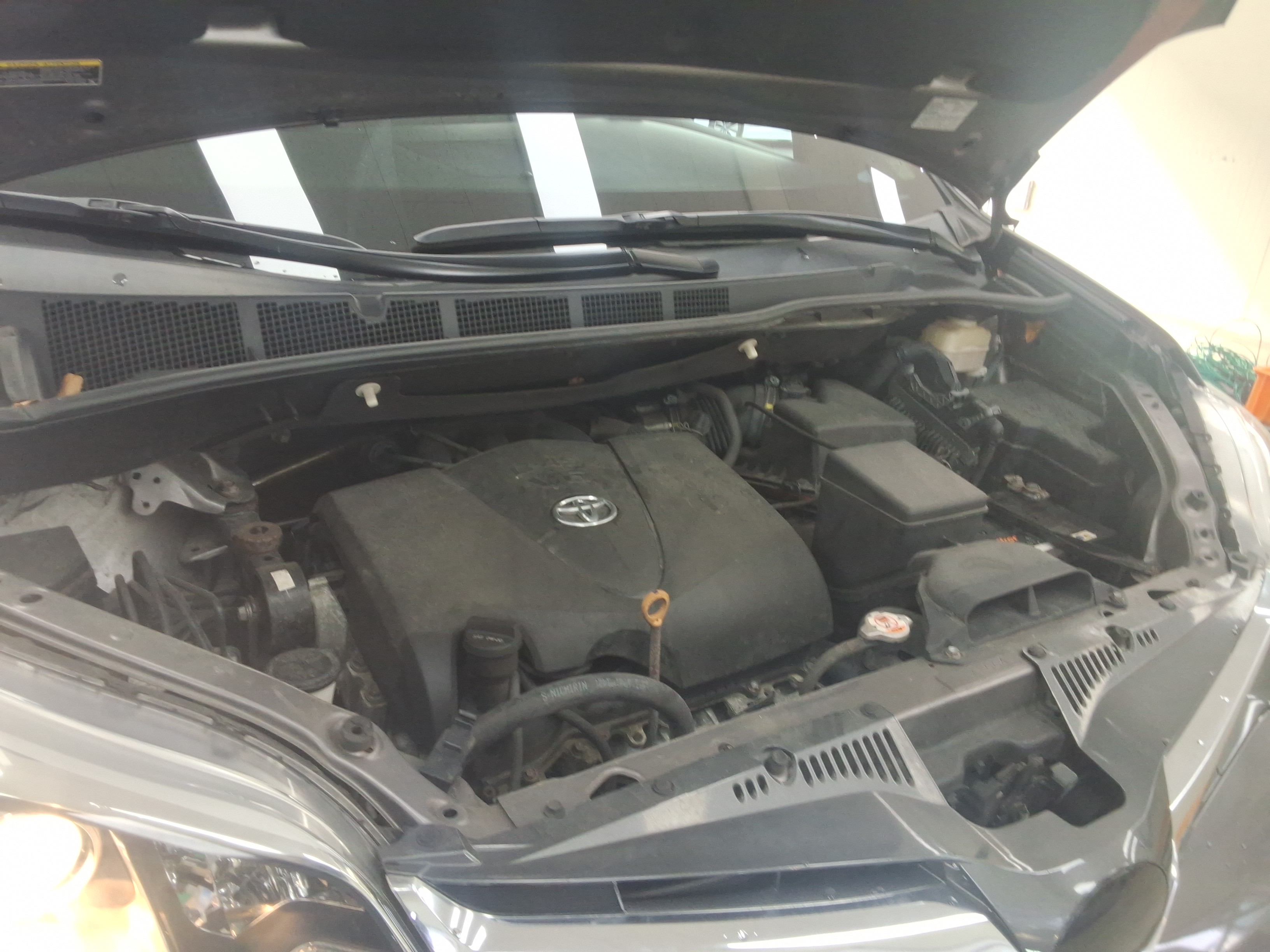 2019 - Toyota Sienna